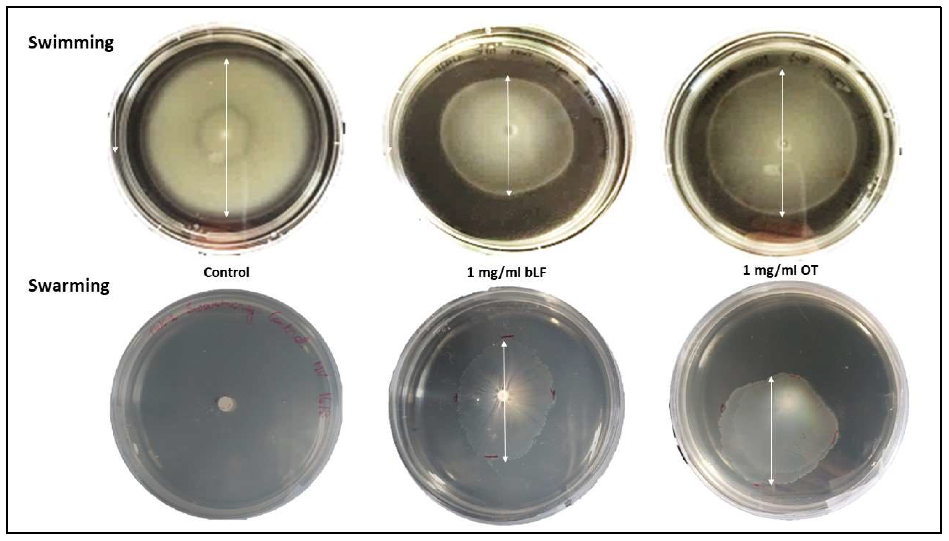 Microorganisms 11 02912 g007