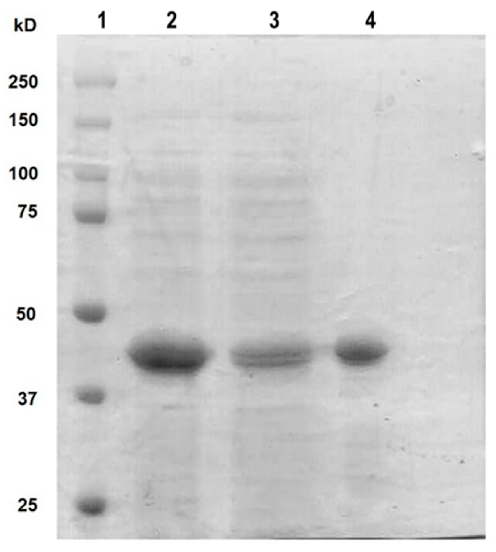 Microorganisms 11 02913 g001 Microorganisms 11 02913 g001