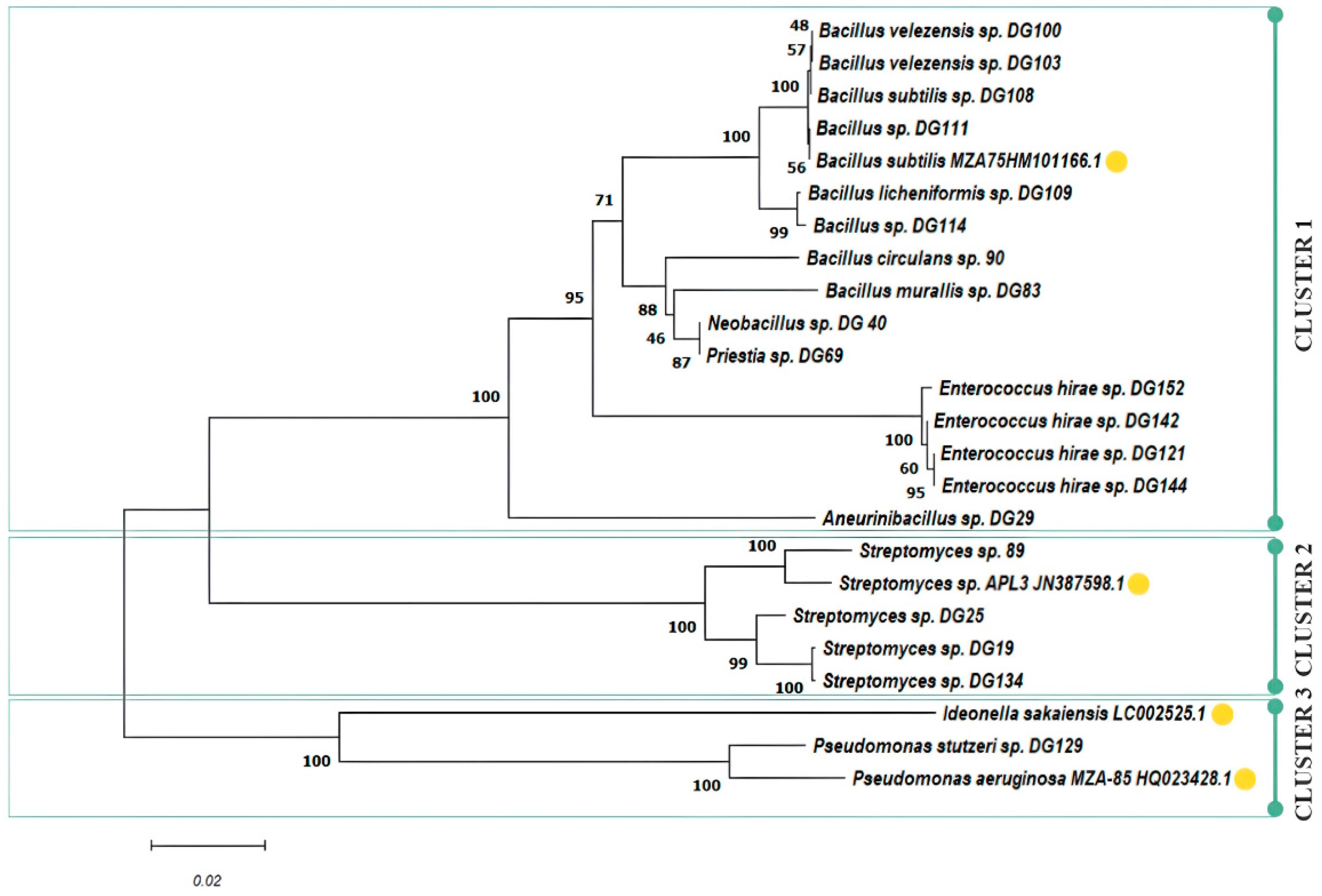 Microorganisms 11 02914 g003