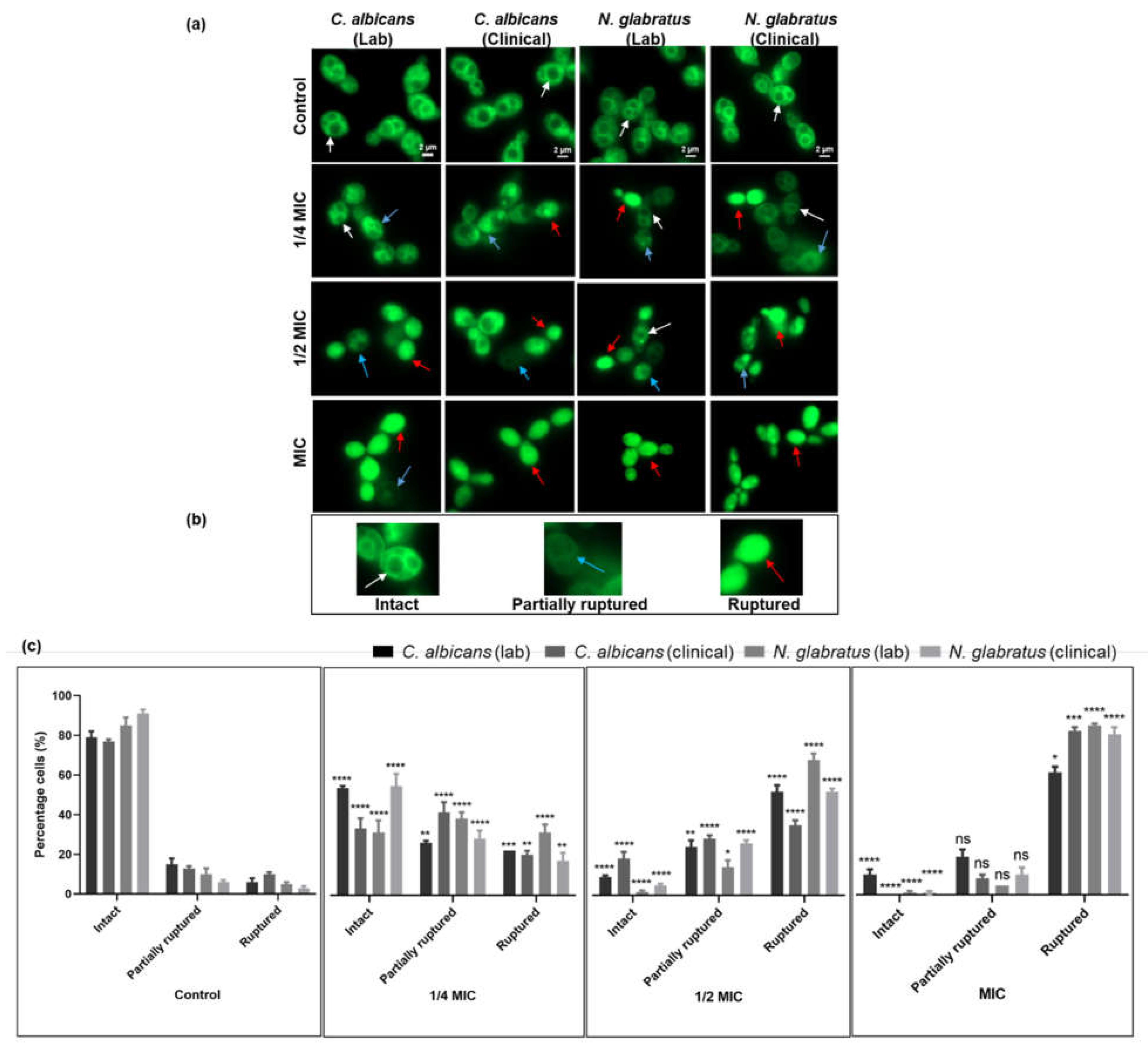 Microorganisms 11 02915 g003