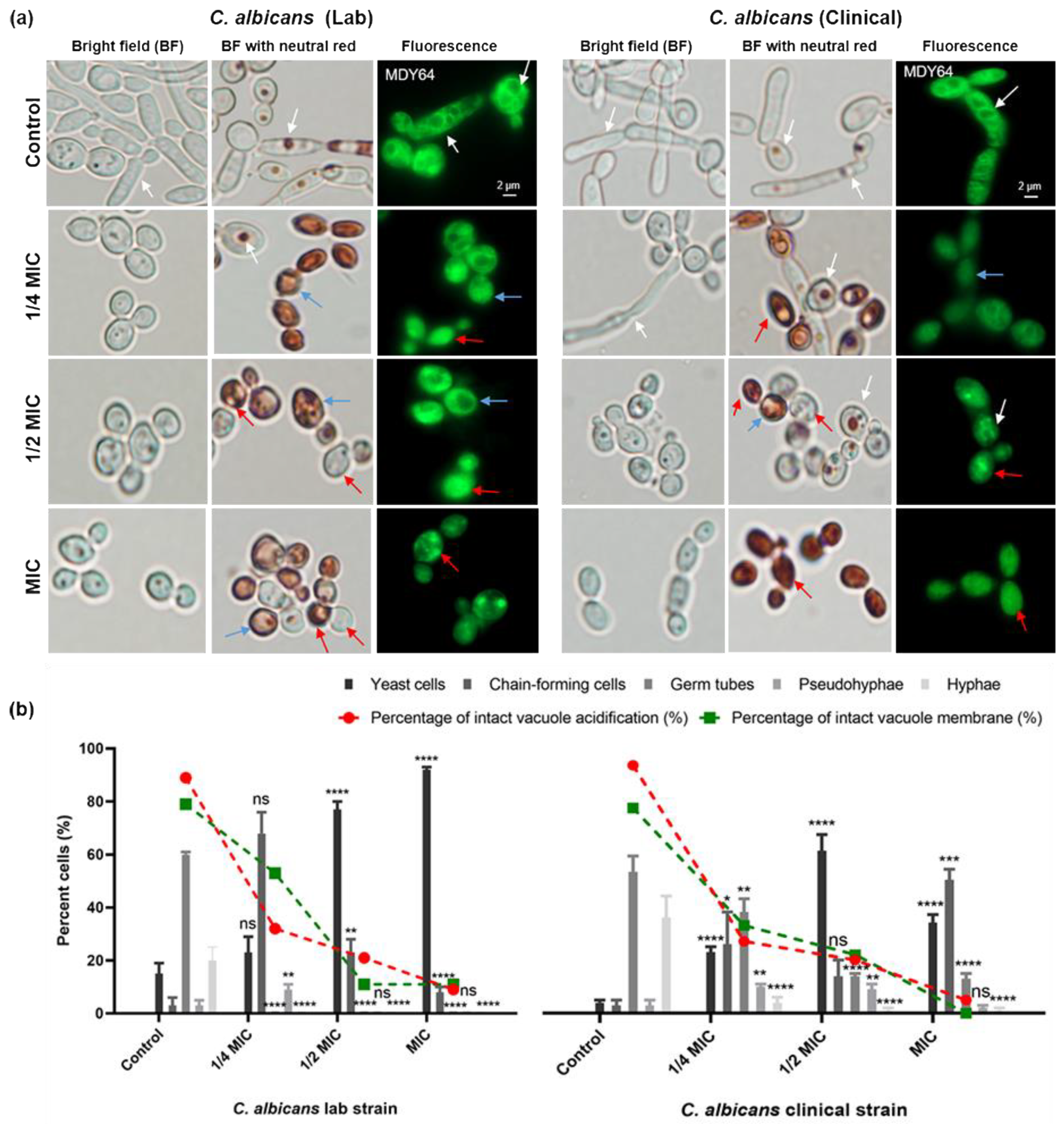 Microorganisms 11 02915 g004