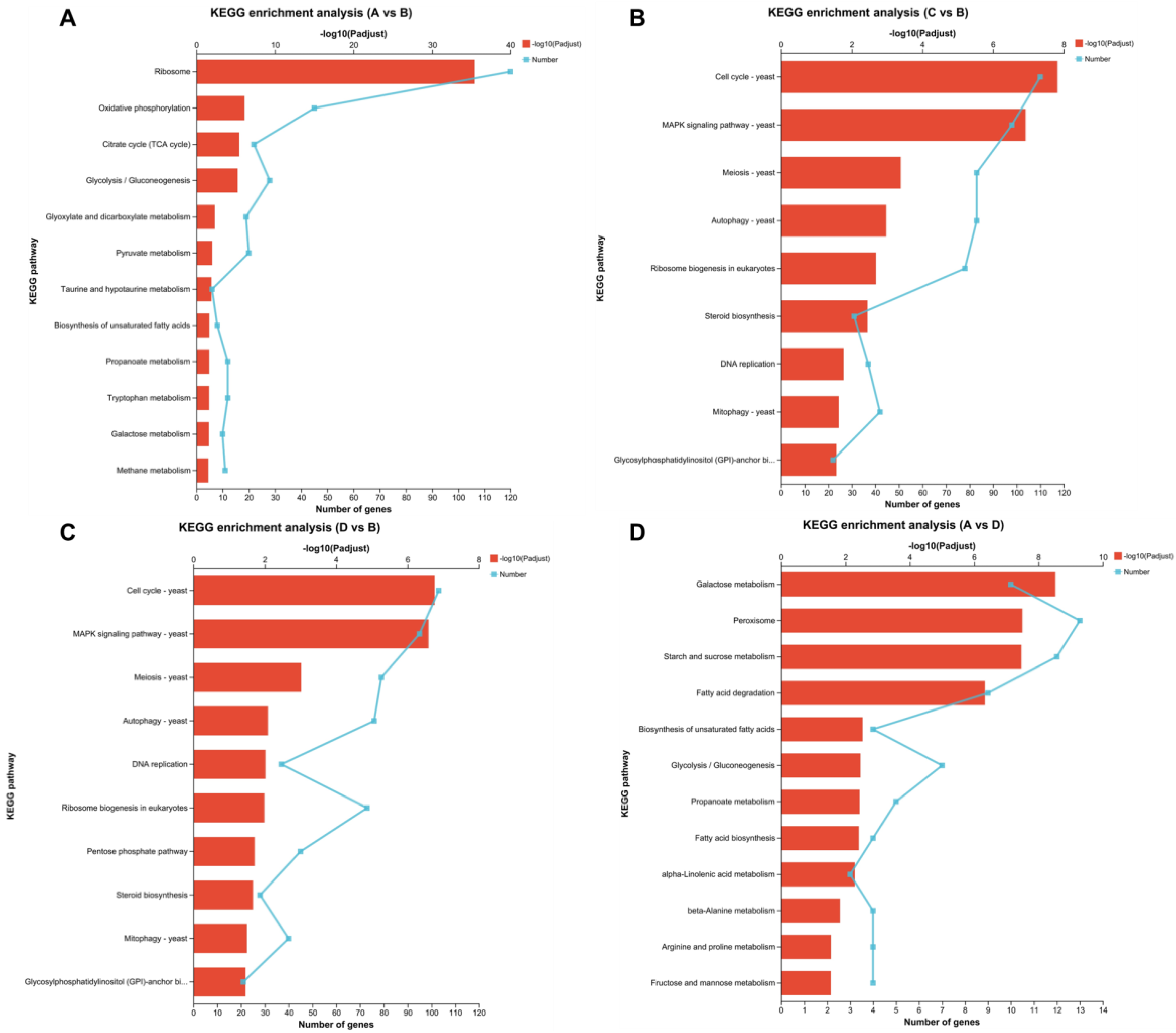 Microorganisms 11 02916 g005
