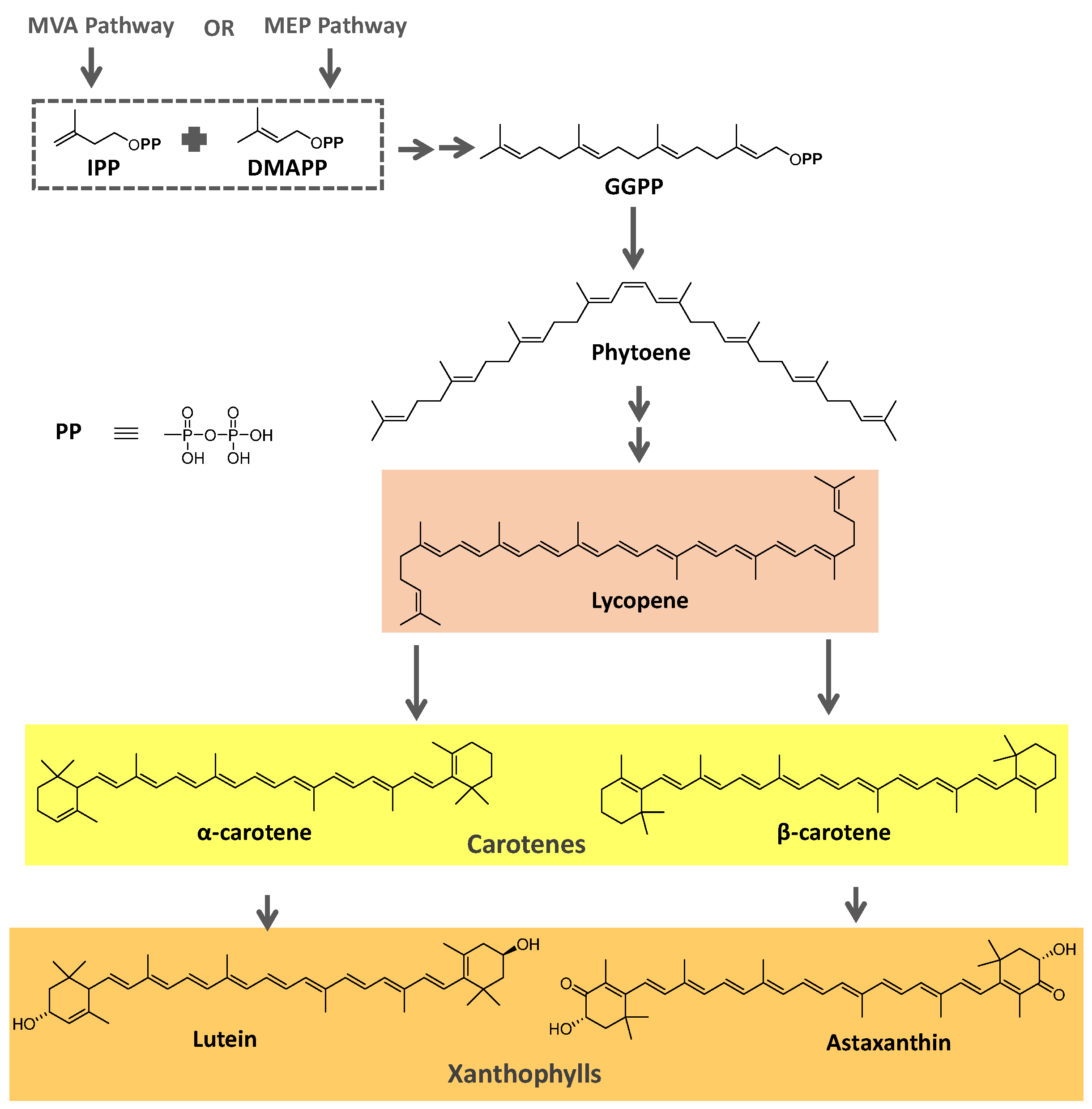 Microorganisms 11 02920 g002