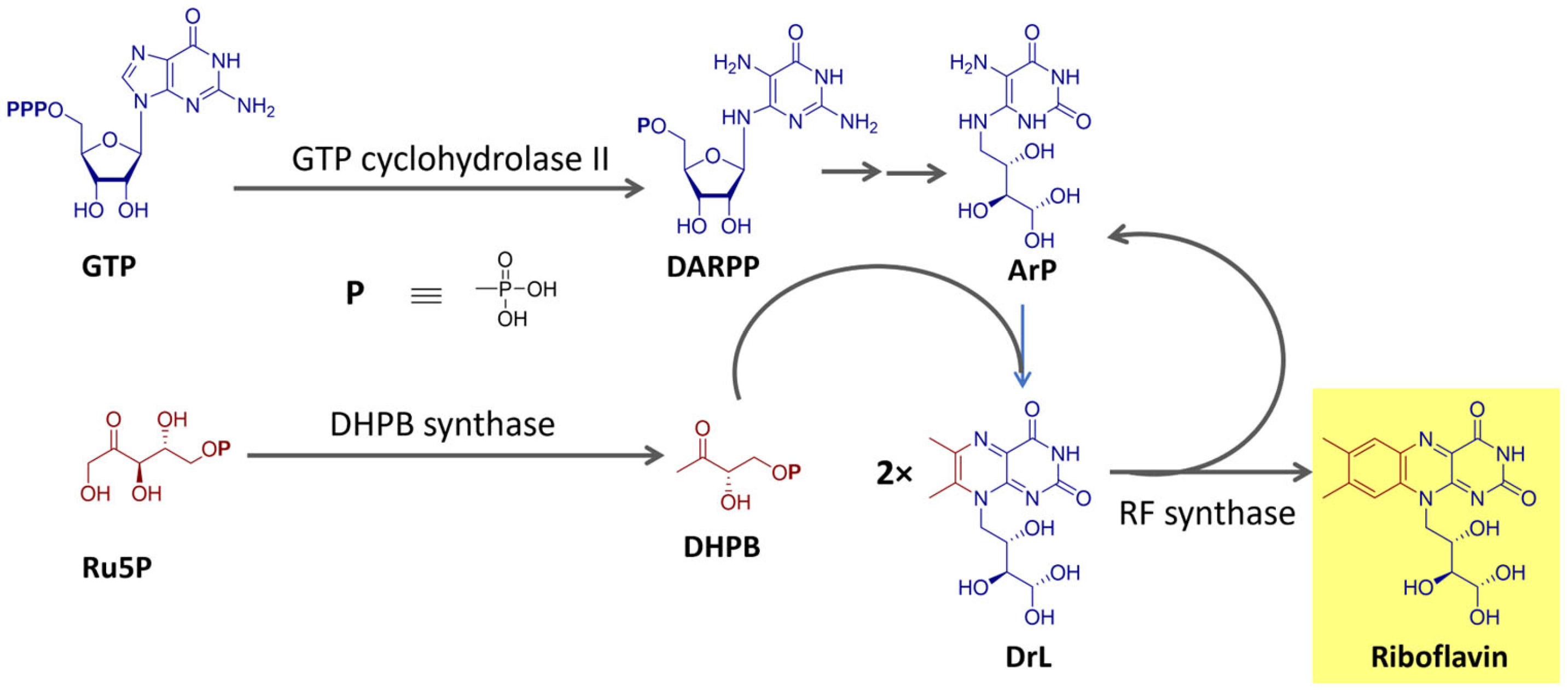 Microorganisms 11 02920 g004