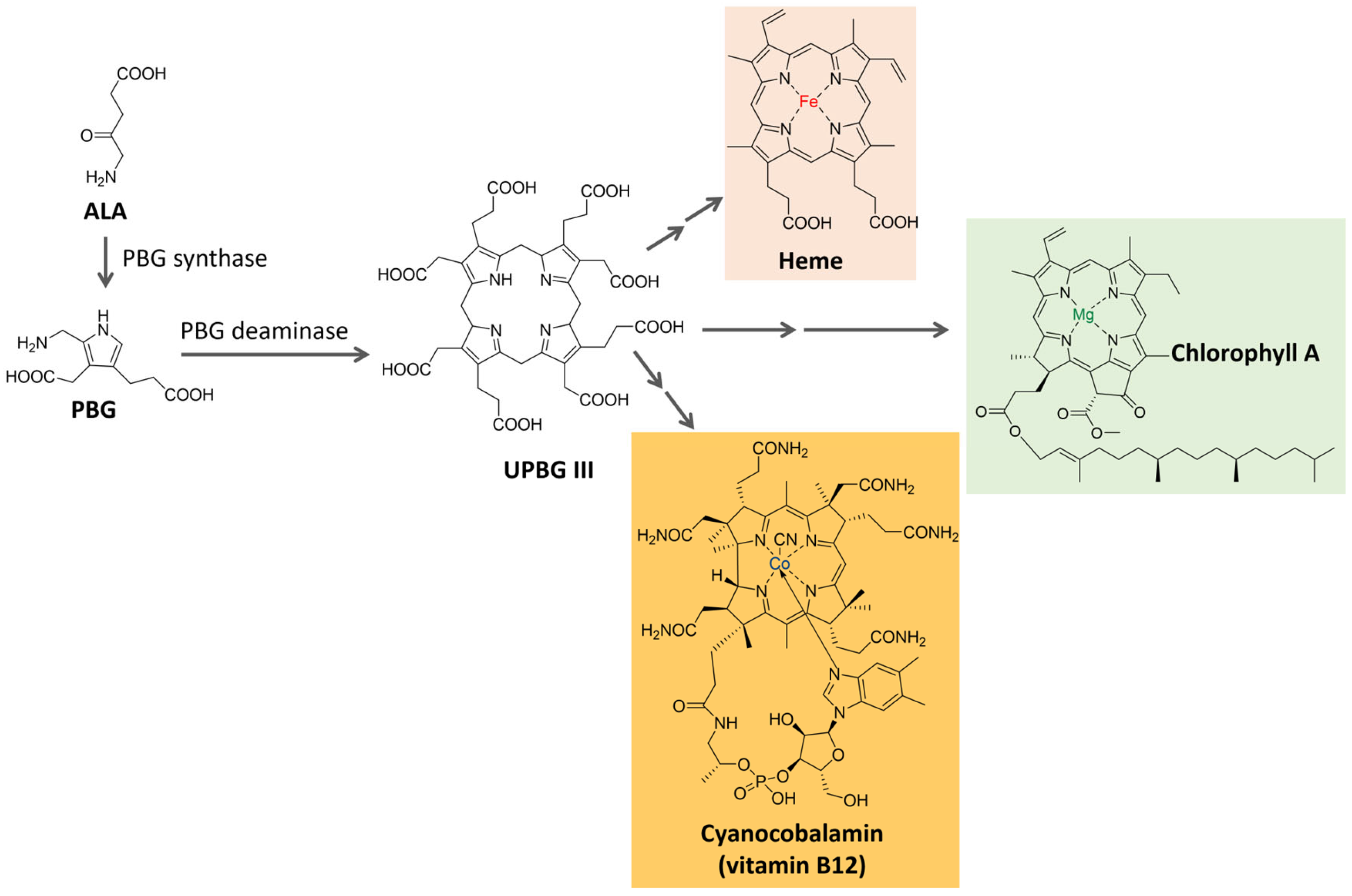 Microorganisms 11 02920 g005