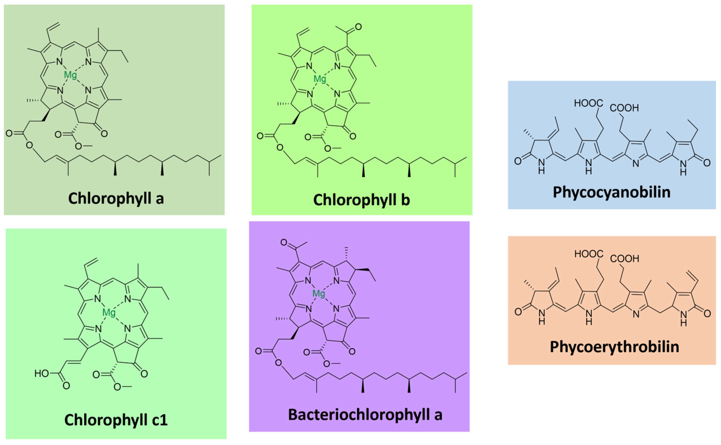 Microorganisms 11 02920 g006
