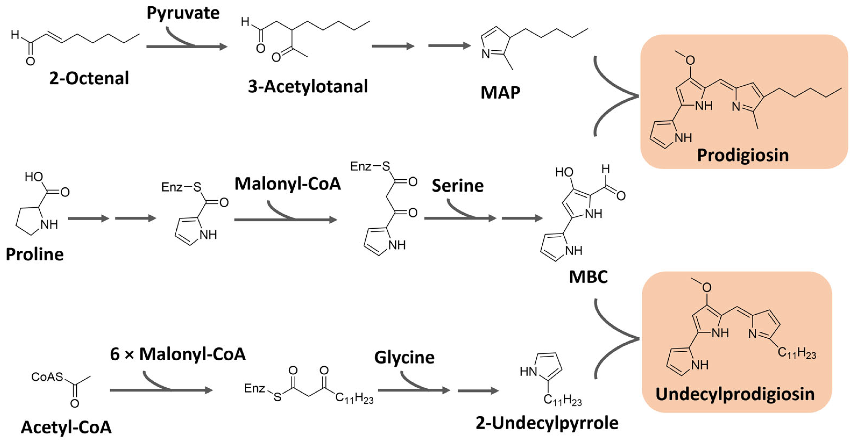 Microorganisms 11 02920 g008