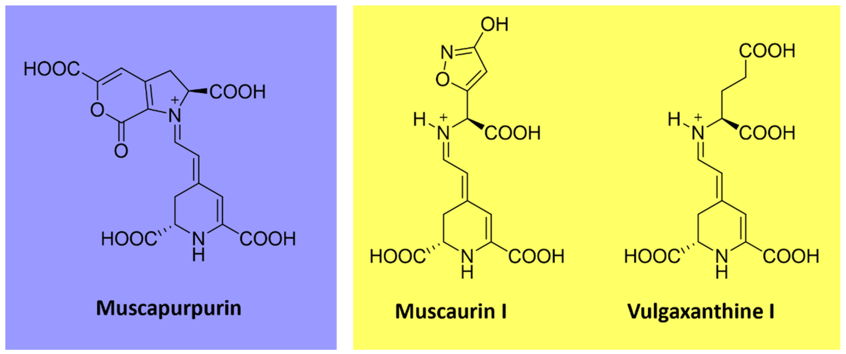 Microorganisms 11 02920 g009