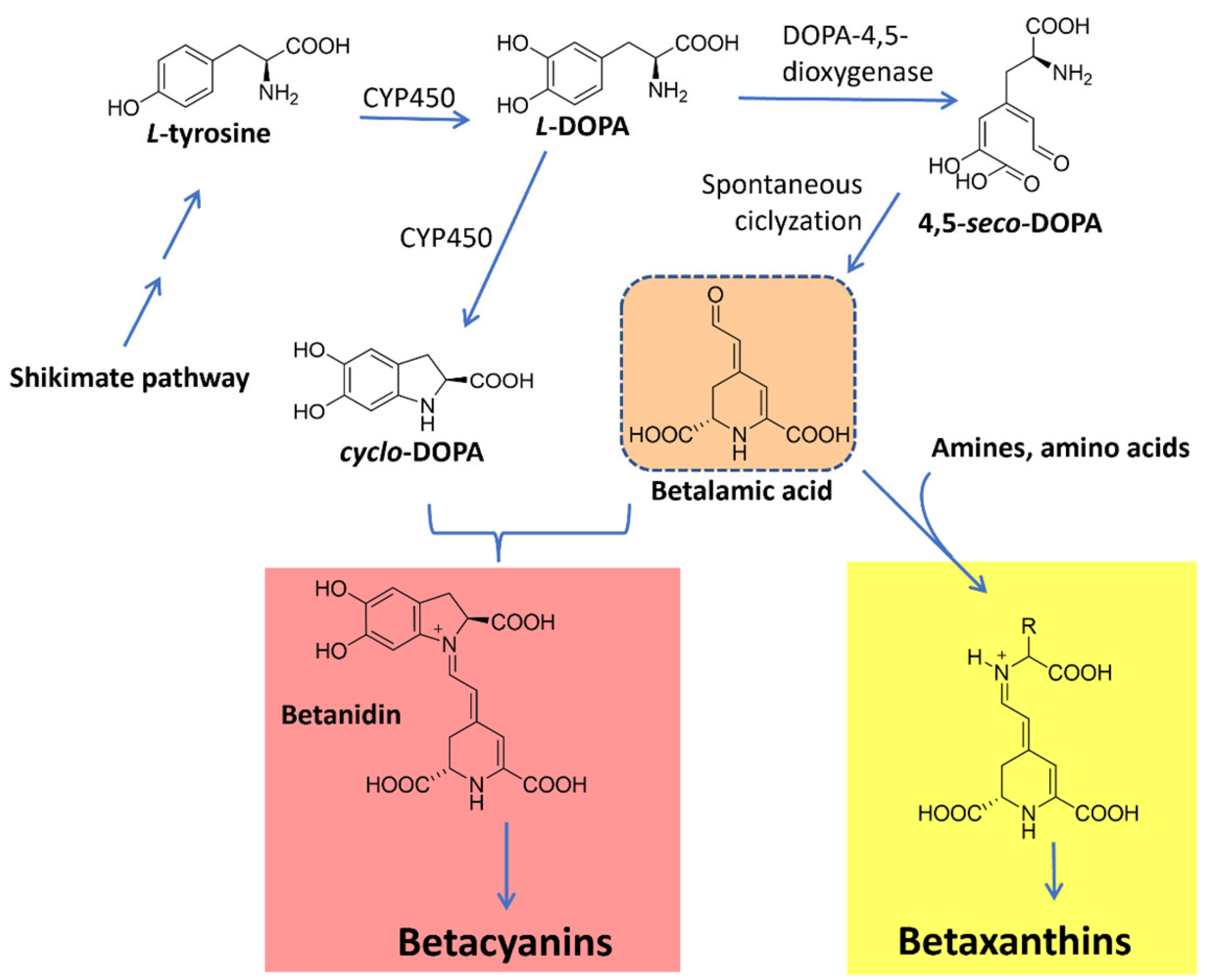 Microorganisms 11 02920 g010