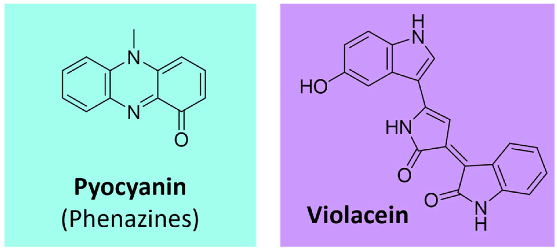 Microorganisms 11 02920 g011