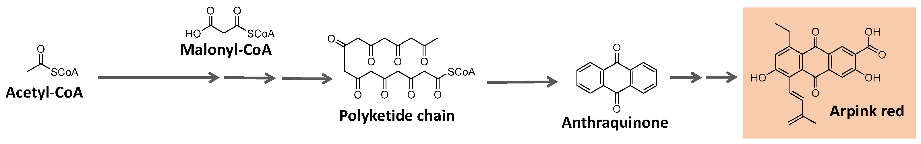 Microorganisms 11 02920 g013