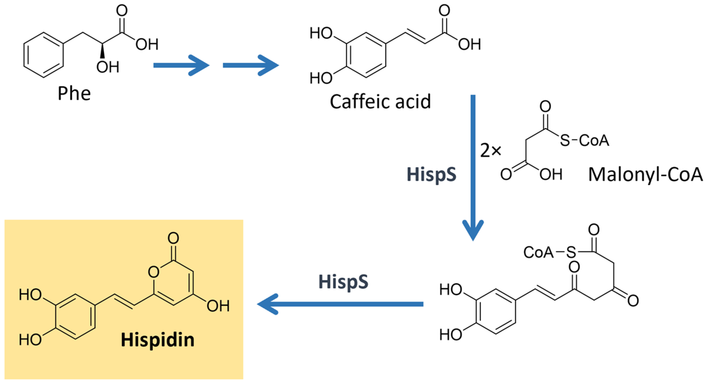 Microorganisms 11 02920 g016