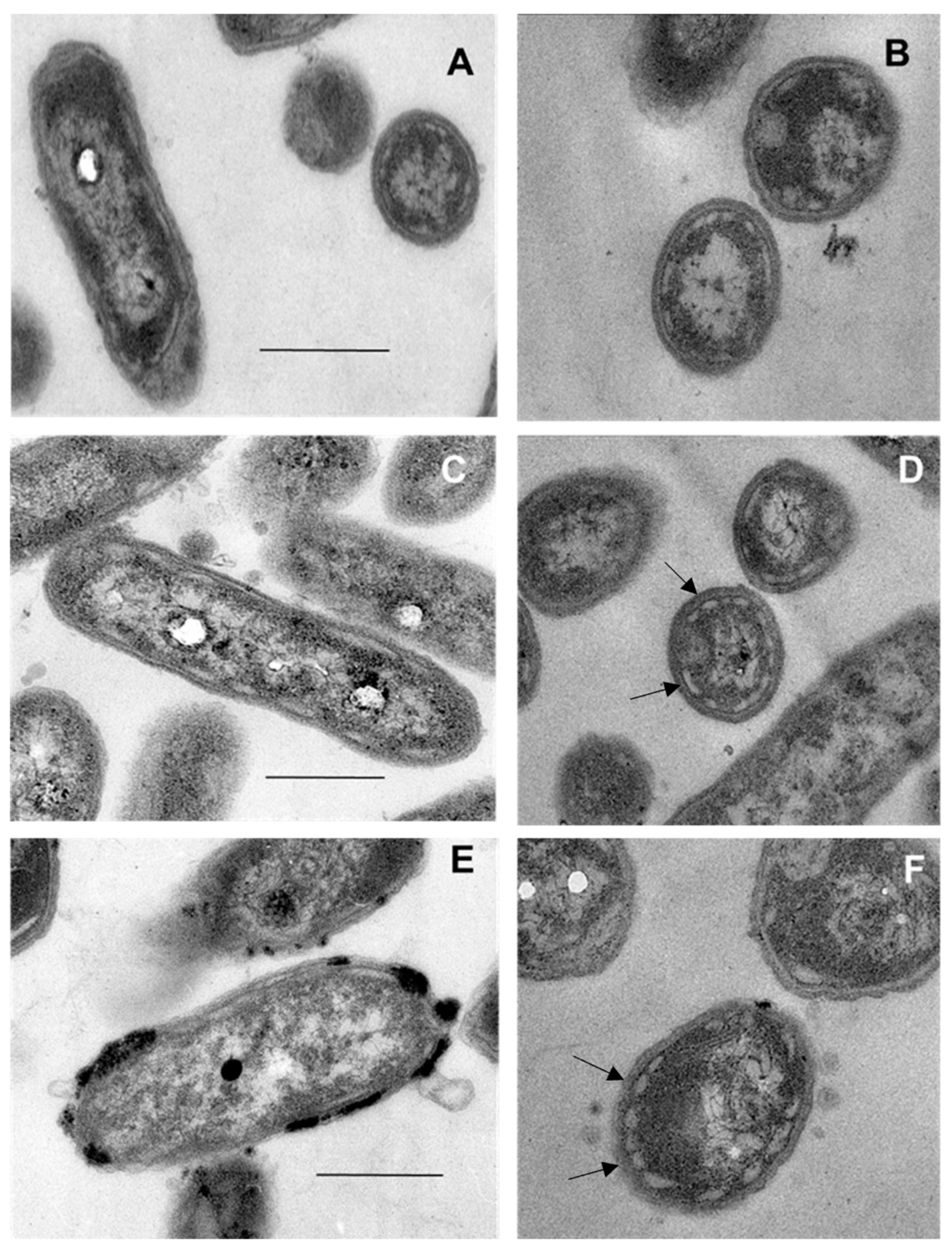 Microorganisms 11 02921 g005