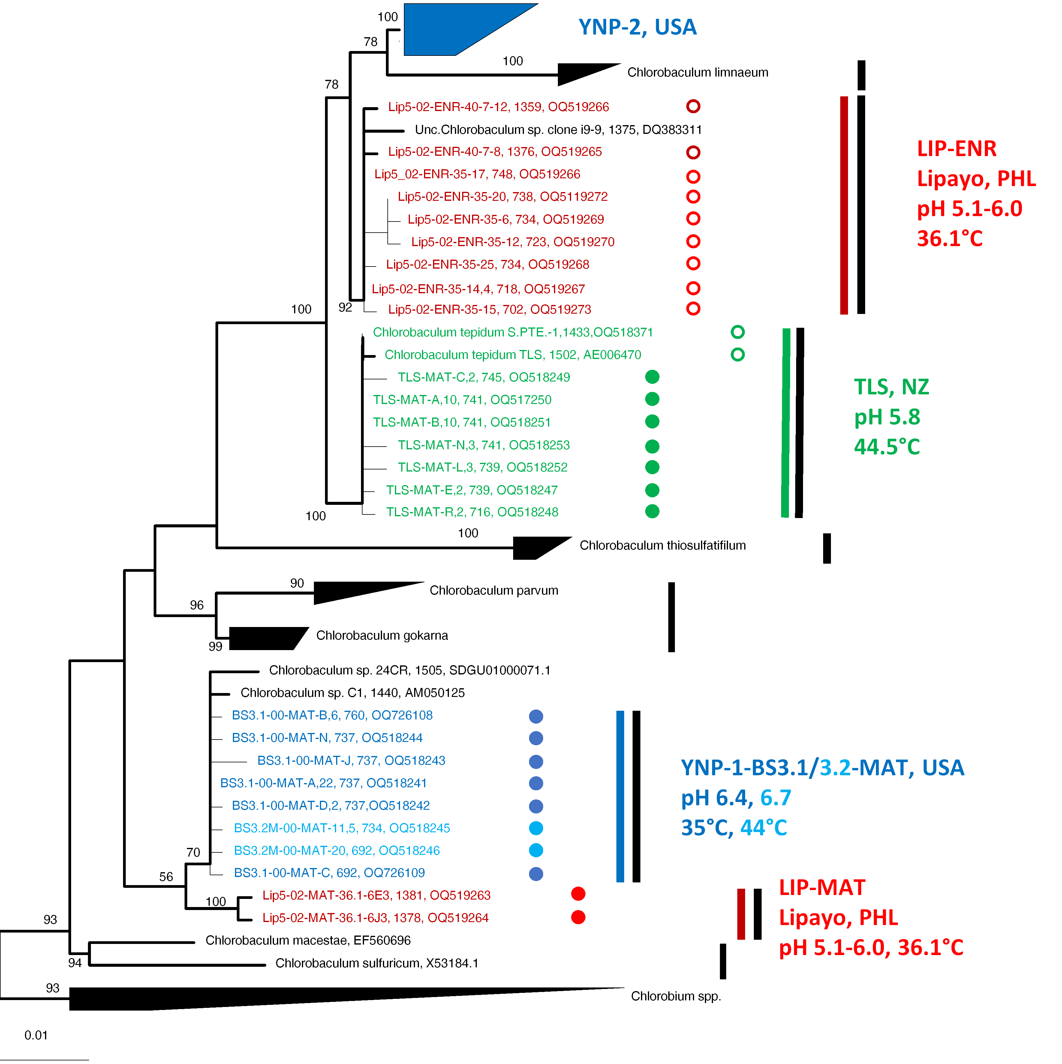 Microorganisms 11 02921 g006