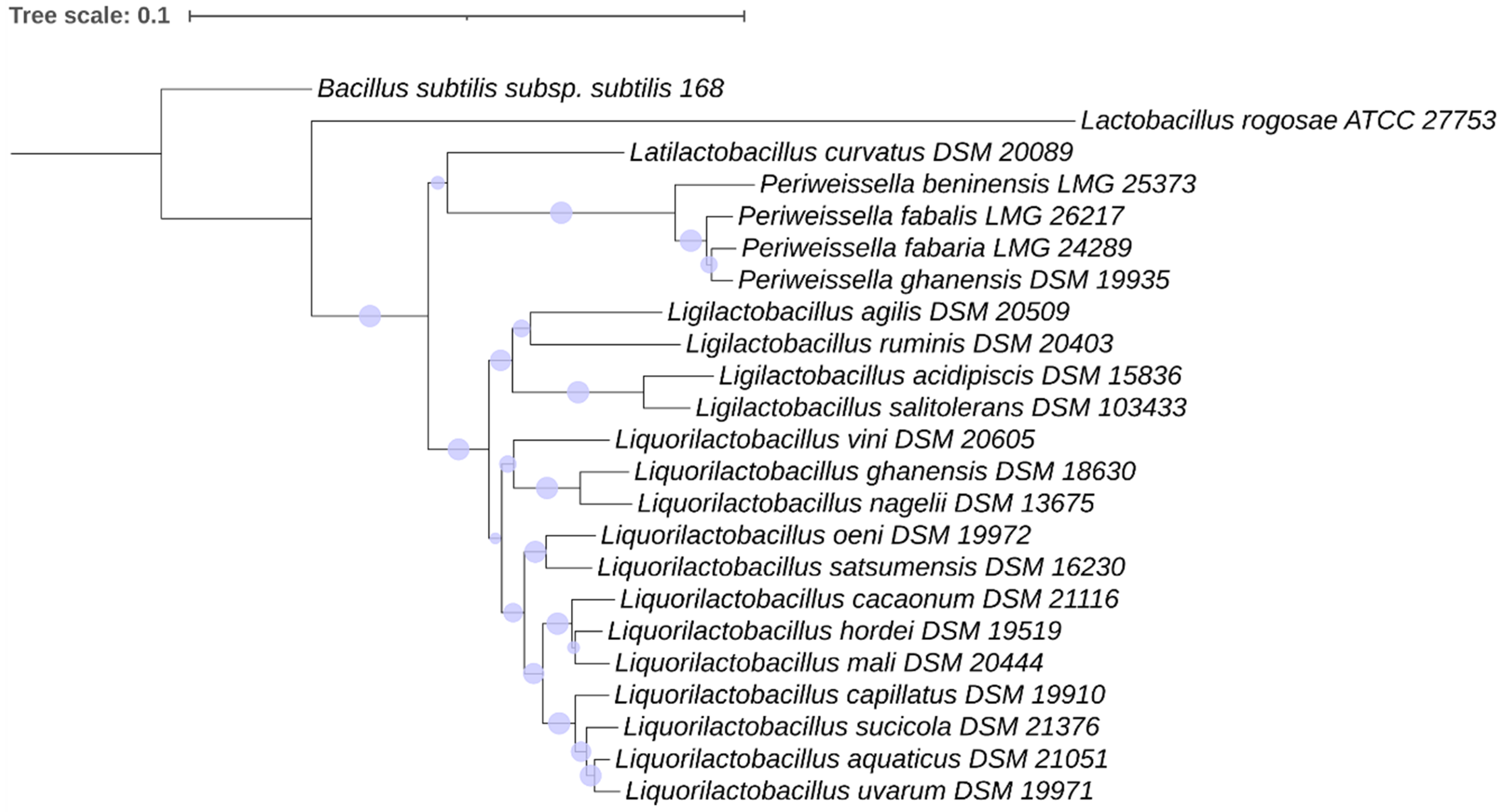 Microorganisms 11 02923 g003
