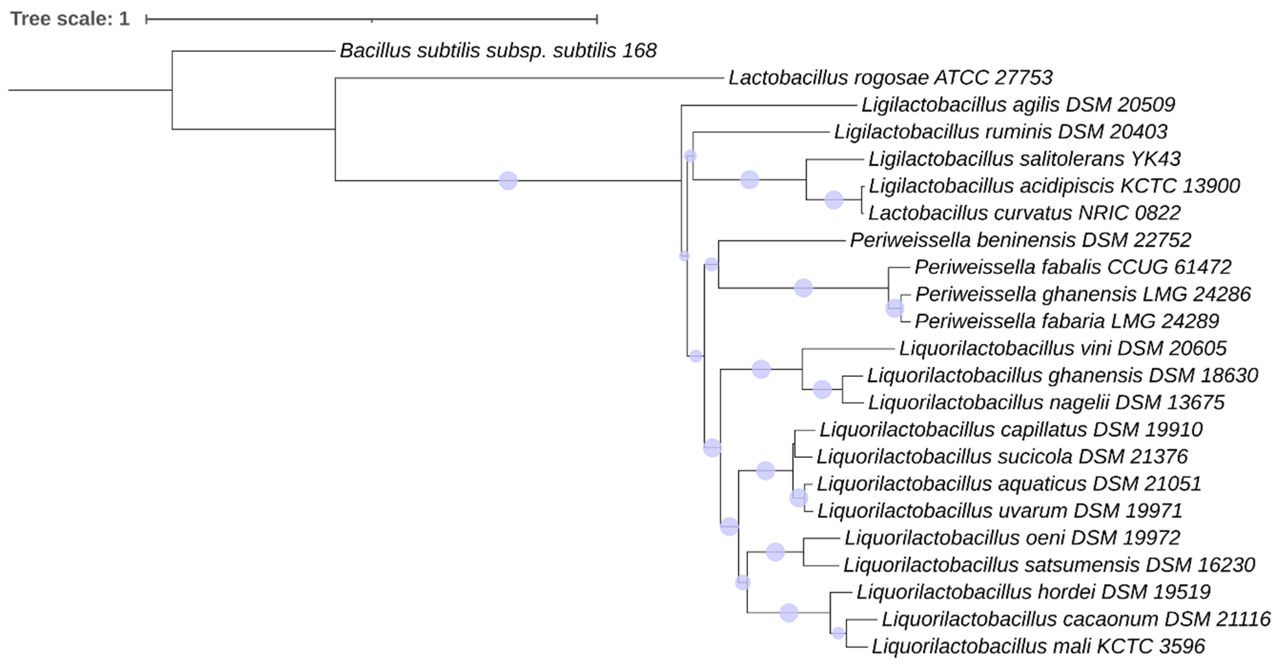 Microorganisms 11 02923 g004