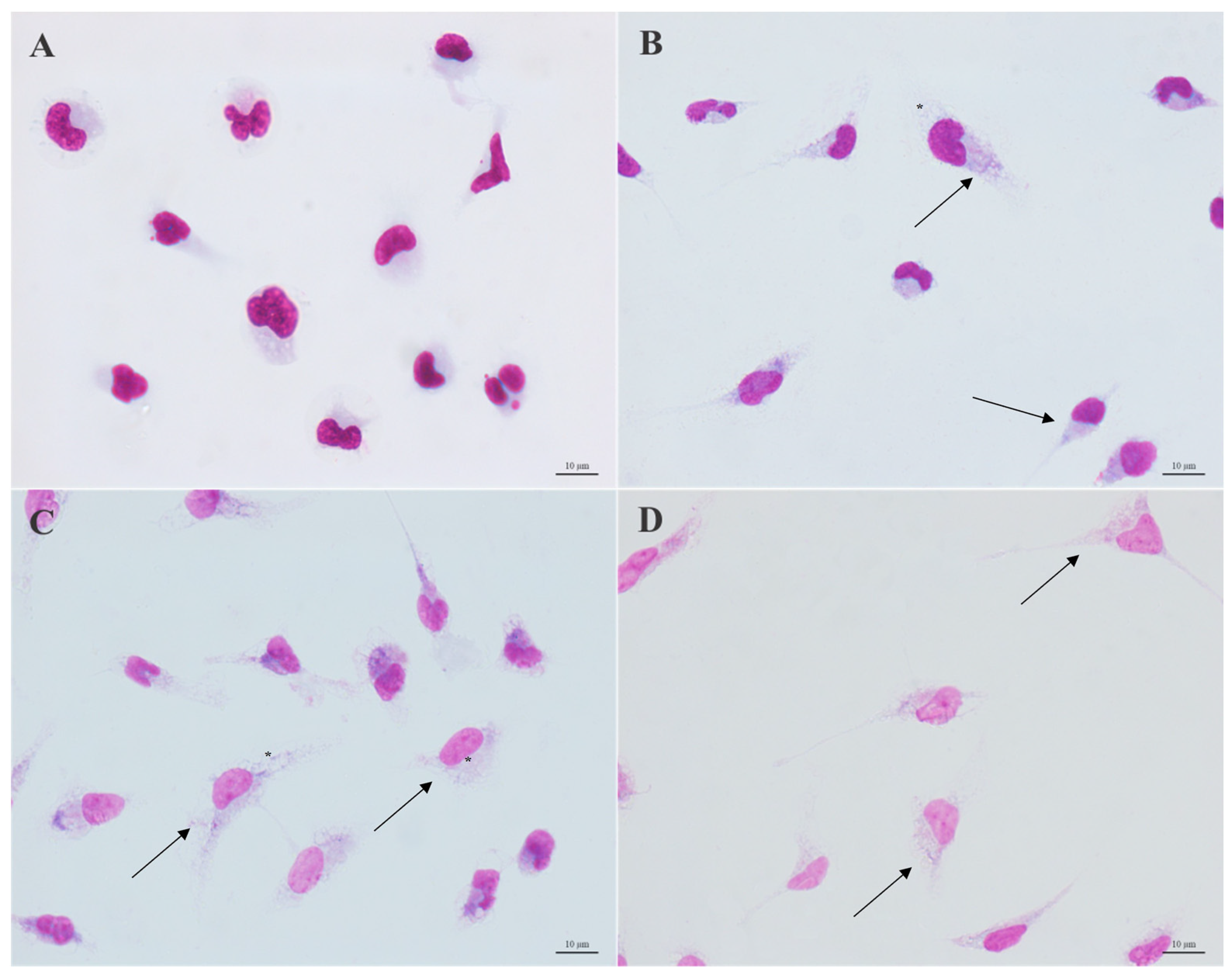 Microorganisms 11 02925 g003