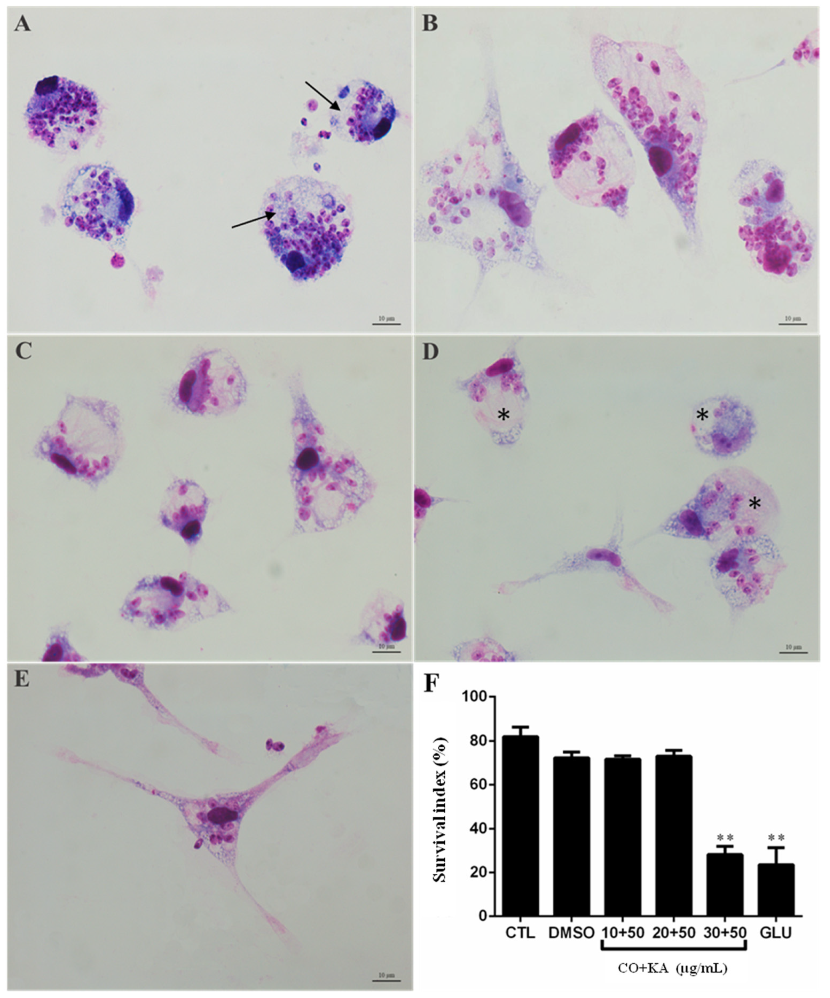 Microorganisms 11 02925 g008