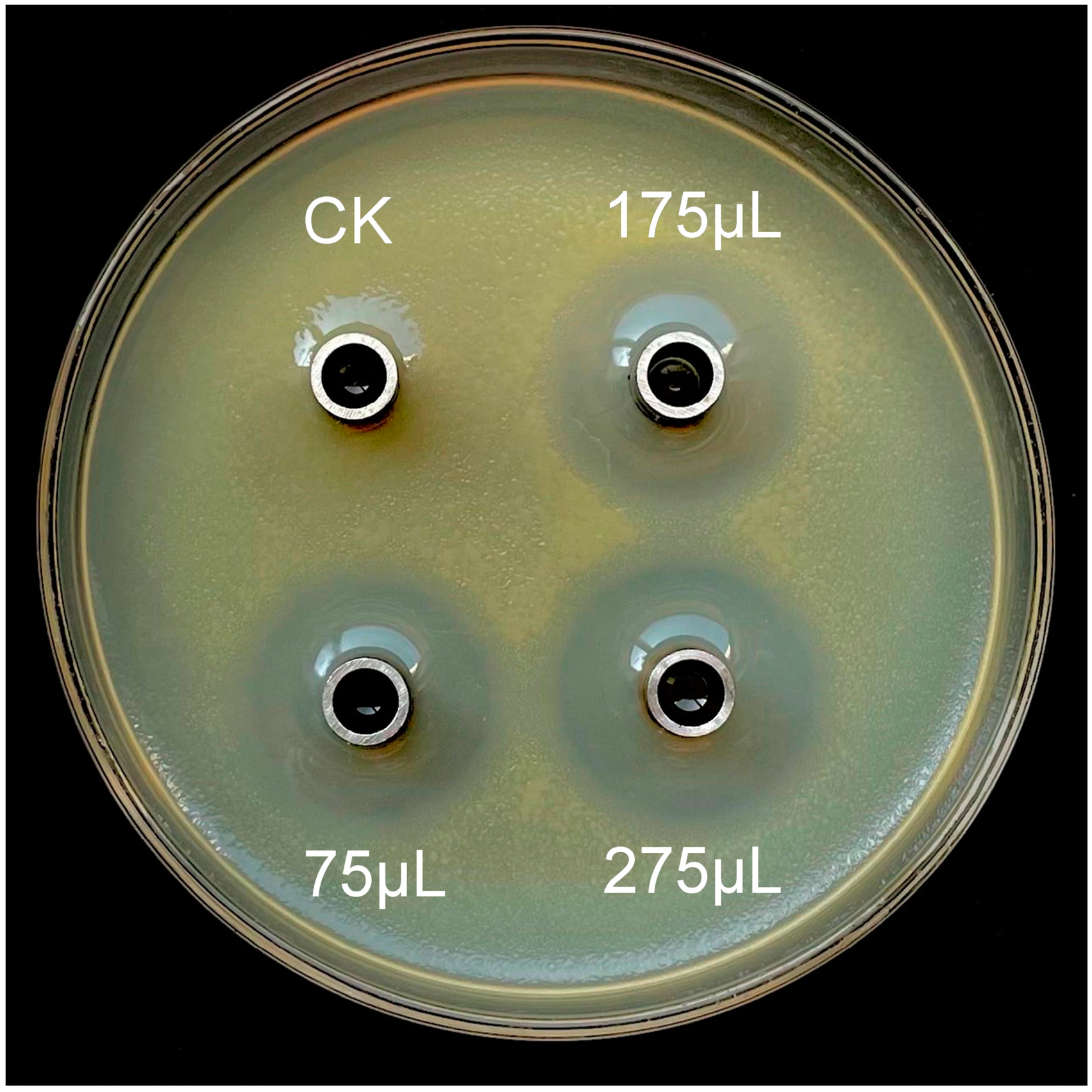 Microorganisms 11 02928 g003