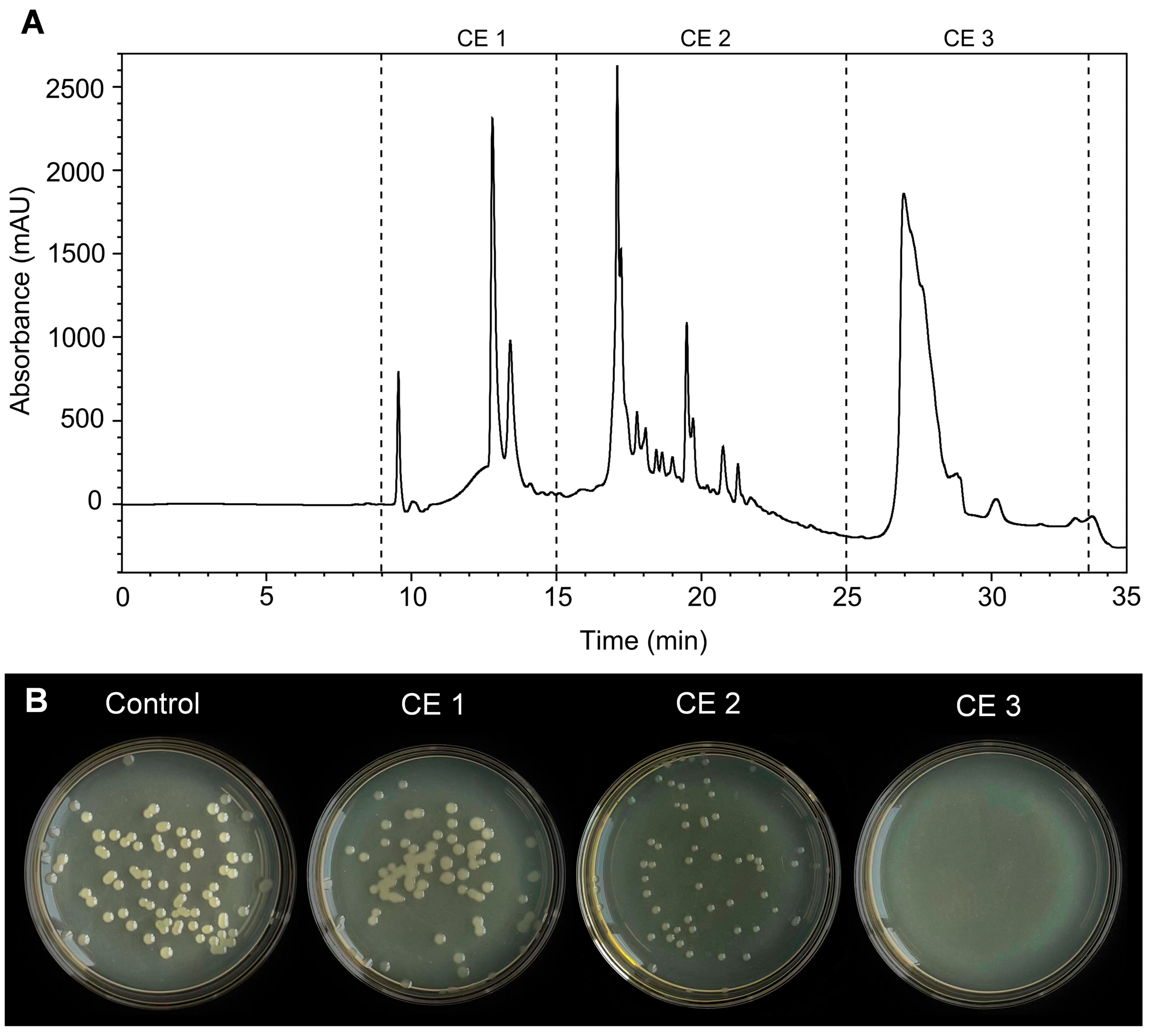 Microorganisms 11 02928 g008