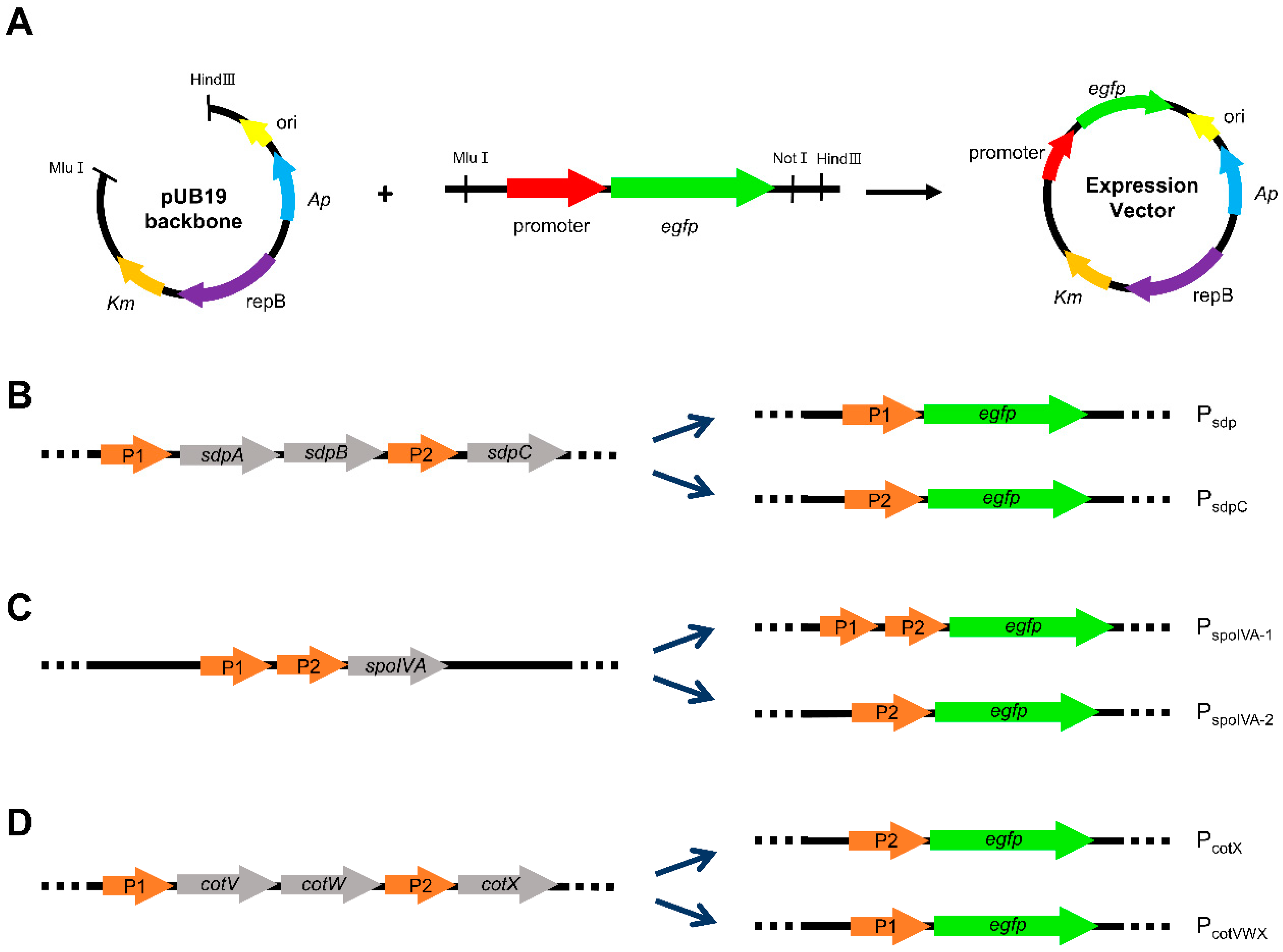 Microorganisms 11 02929 g002 Microorganisms 11 02929 g002