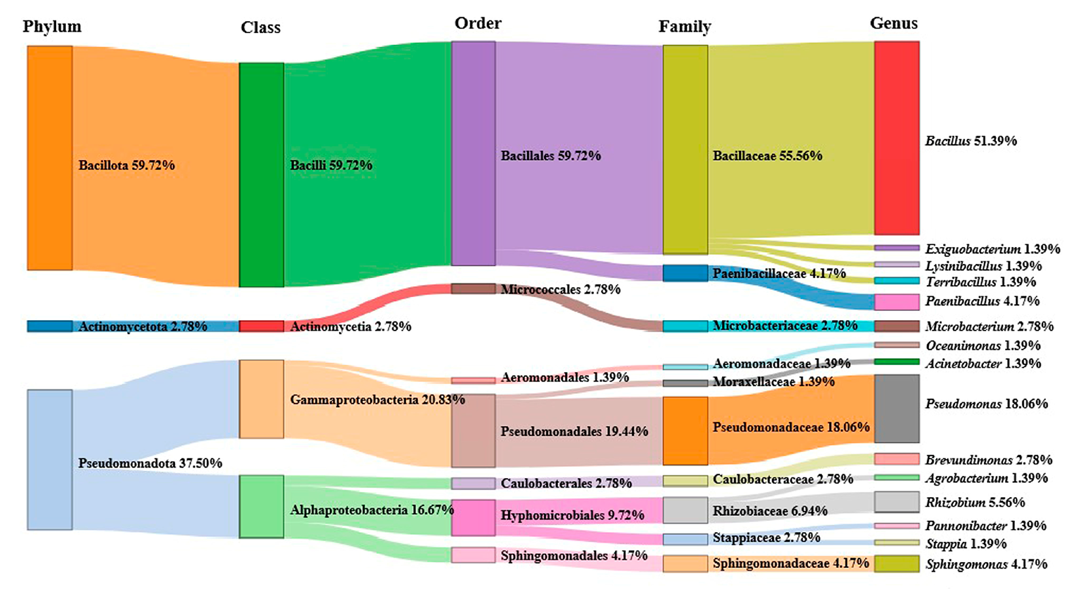 Microorganisms 11 02933 g001