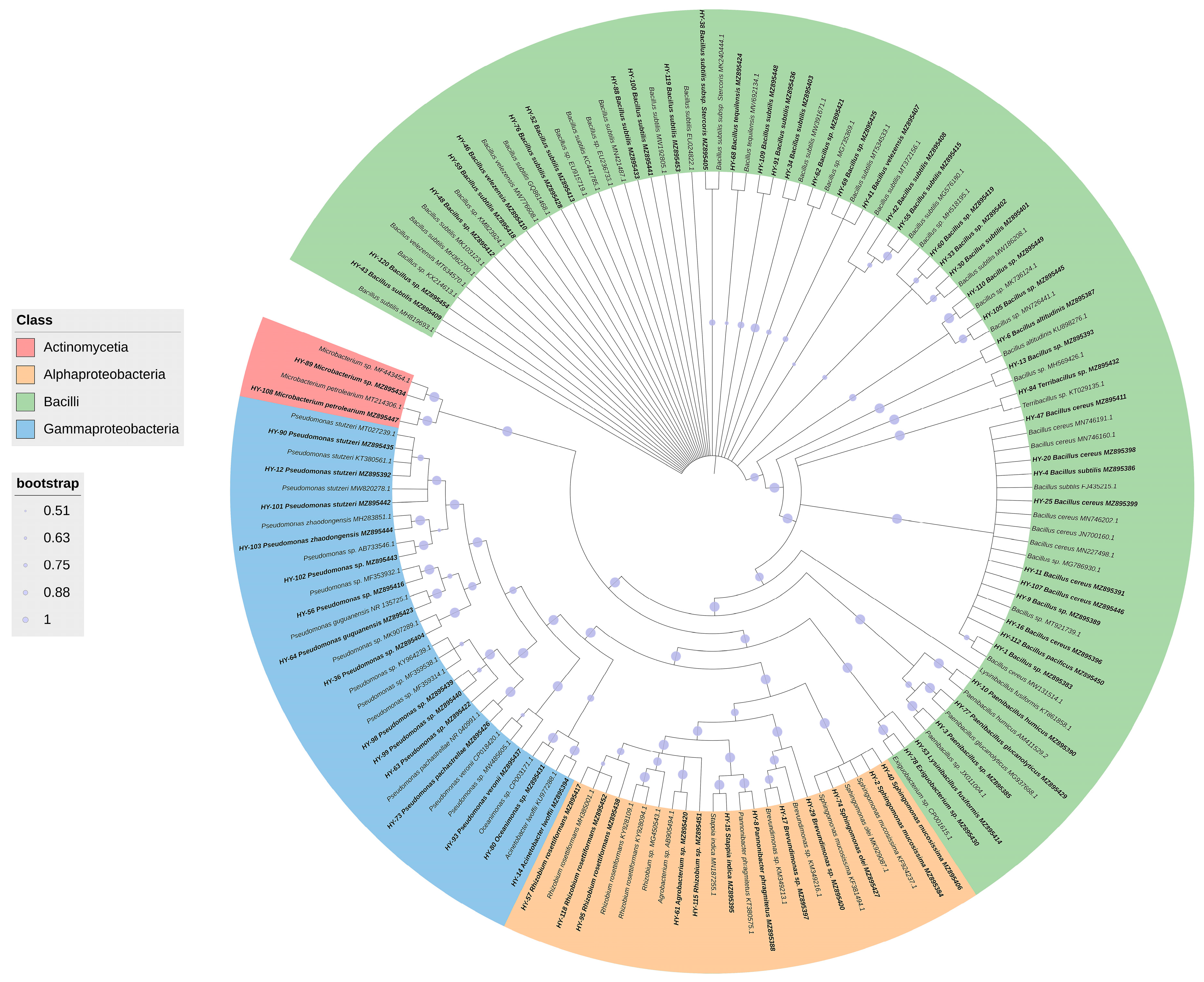 Microorganisms 11 02933 g002