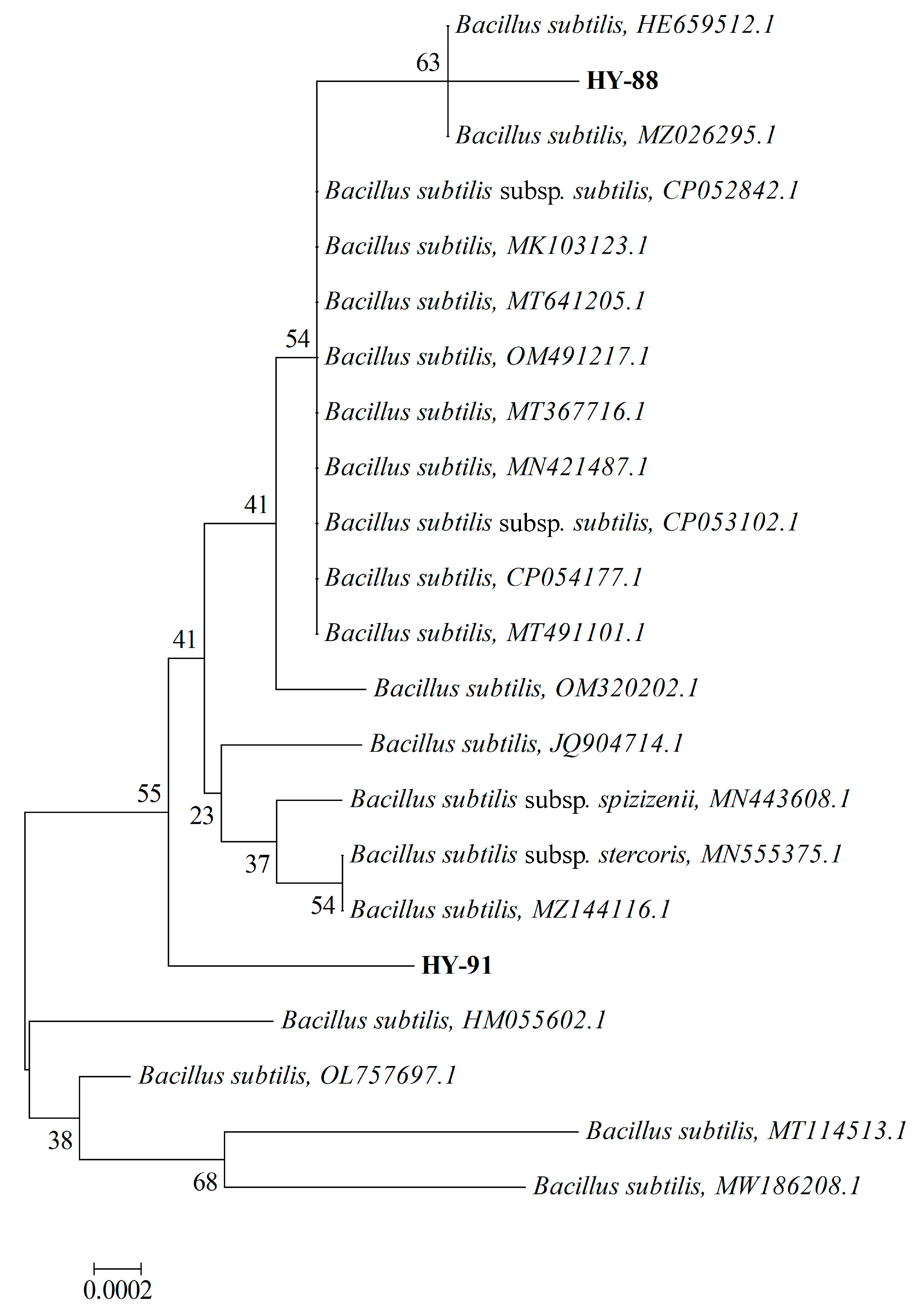 Microorganisms 11 02933 g005