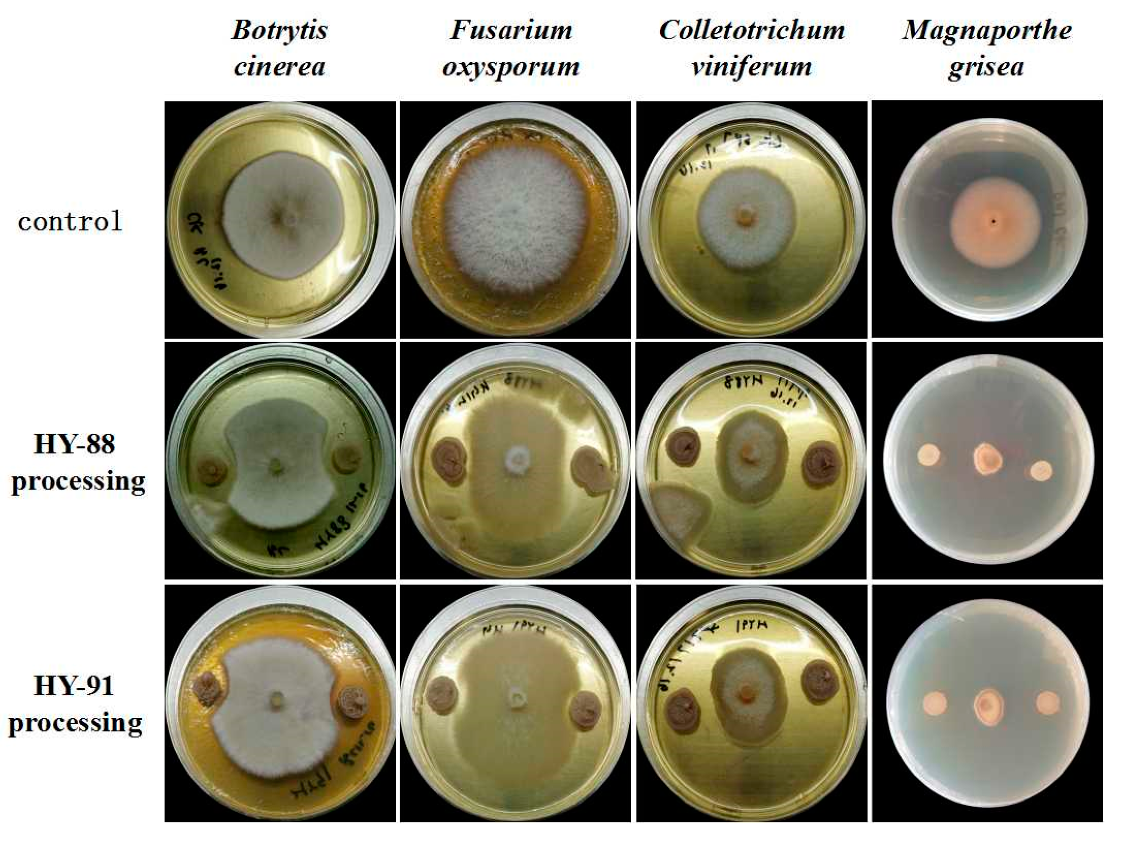 Microorganisms 11 02933 g006
