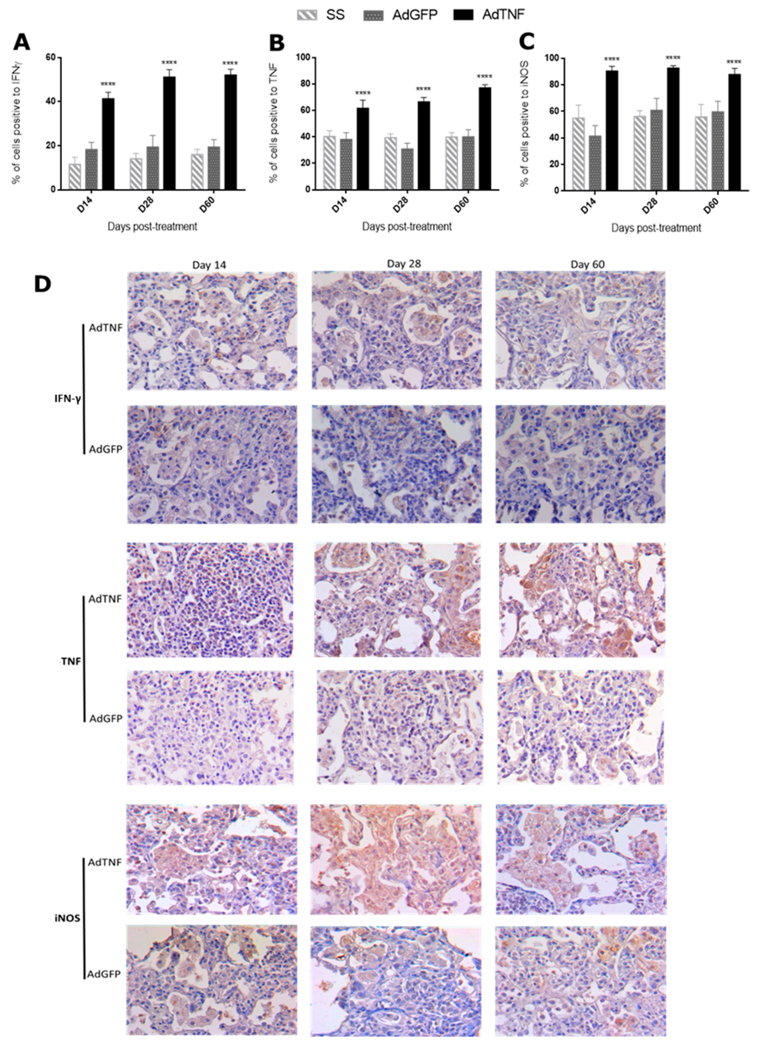 Microorganisms 11 02934 g005
