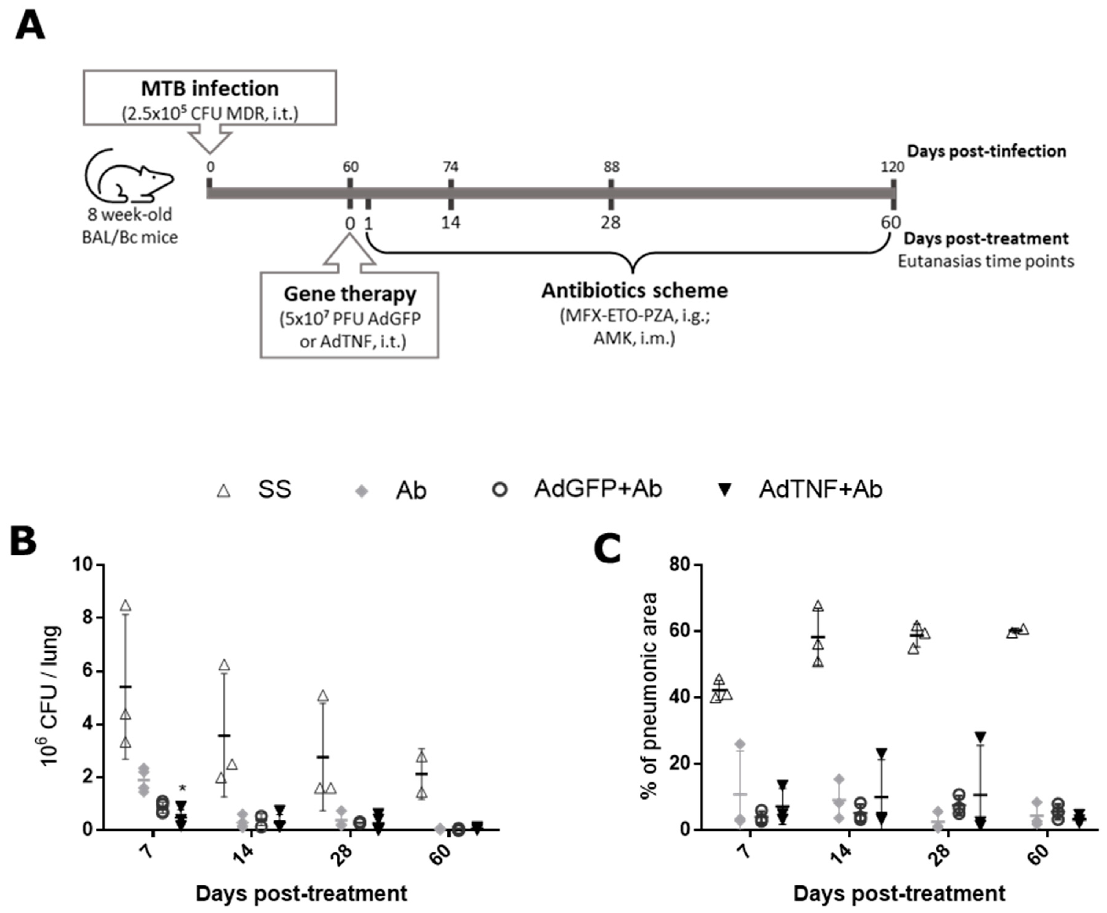 Microorganisms 11 02934 g006
