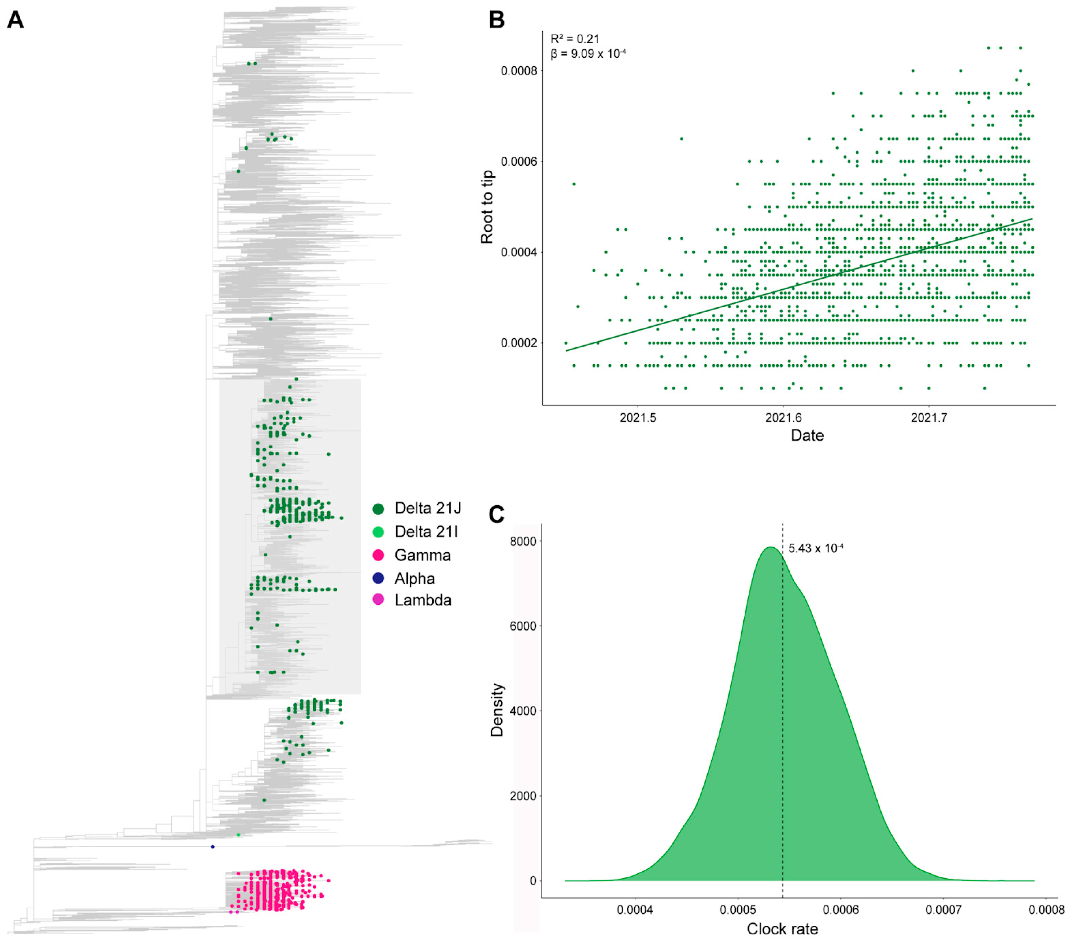 Microorganisms 11 02938 g006