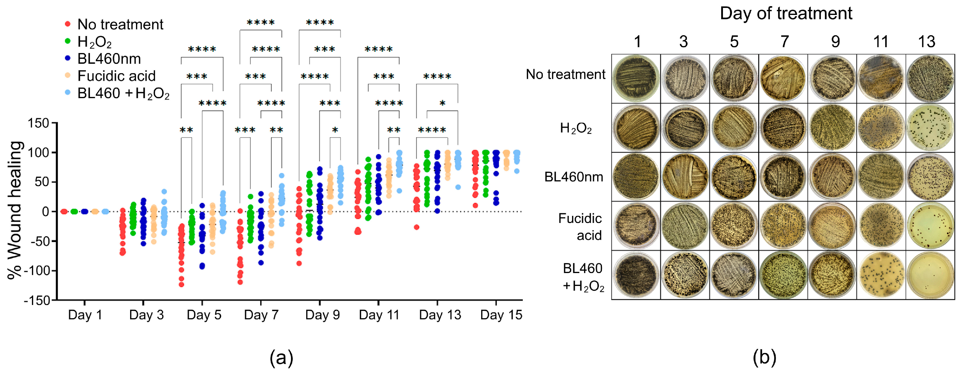 Microorganisms 11 02946 g009