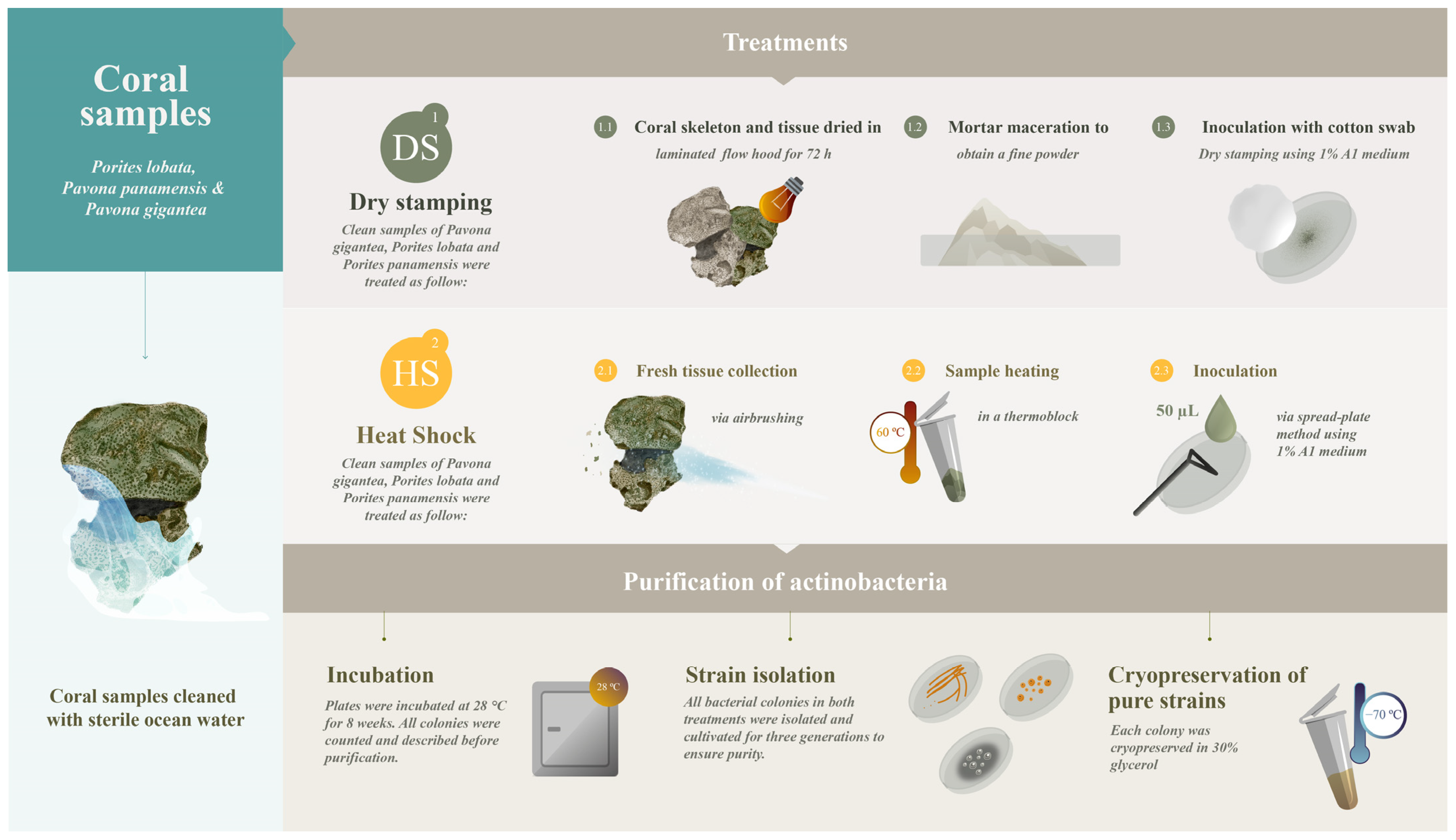 Microorganisms 11 02951 g001 Microorganisms 11 02951 g001