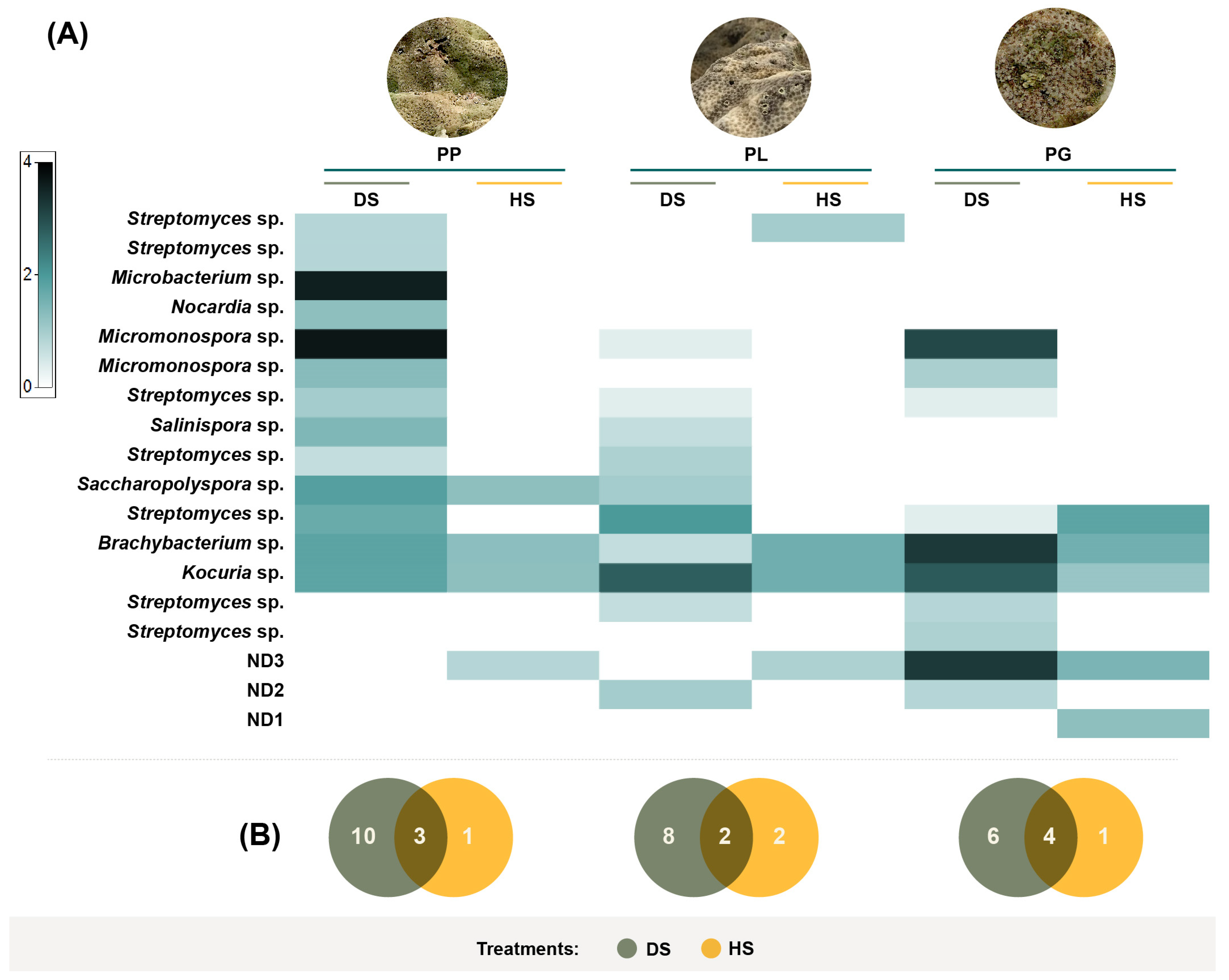 Microorganisms 11 02951 g004 Microorganisms 11 02951 g004