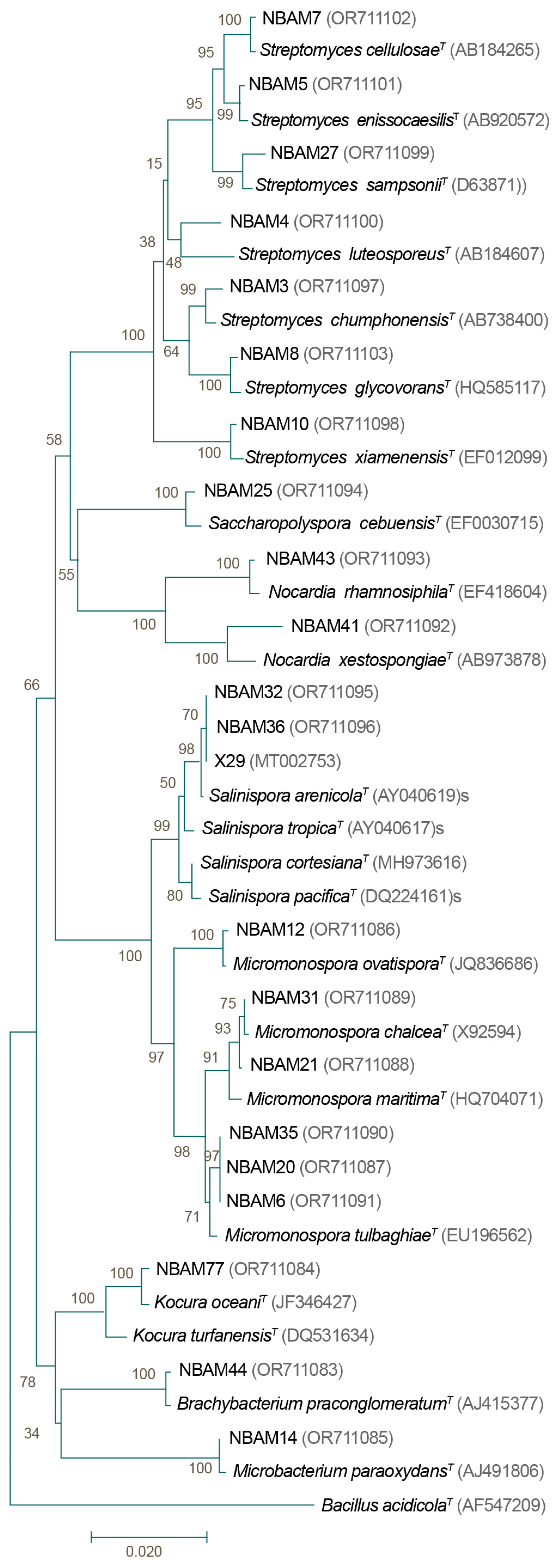 Microorganisms 11 02951 g005 Microorganisms 11 02951 g005