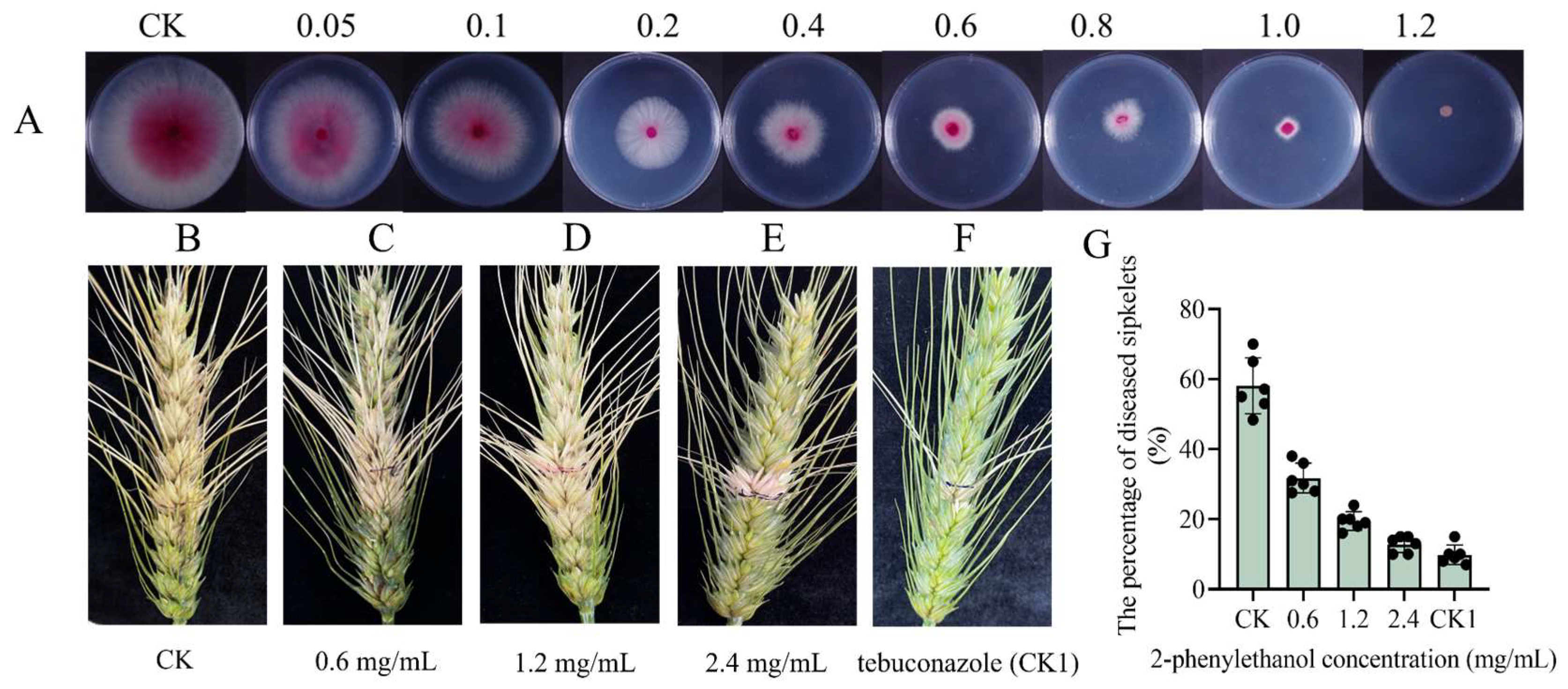 Microorganisms 11 02954 g002