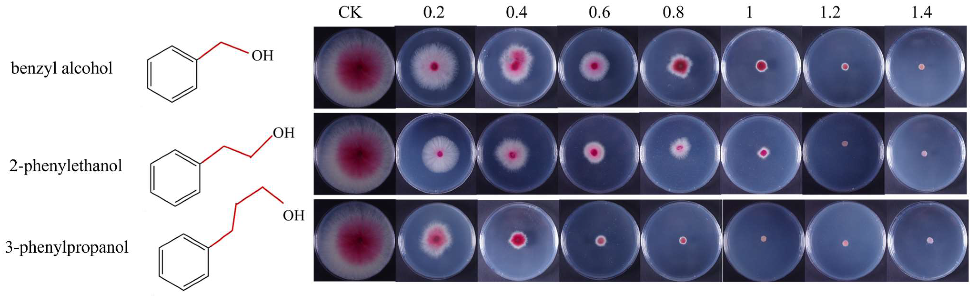 Microorganisms 11 02954 g006