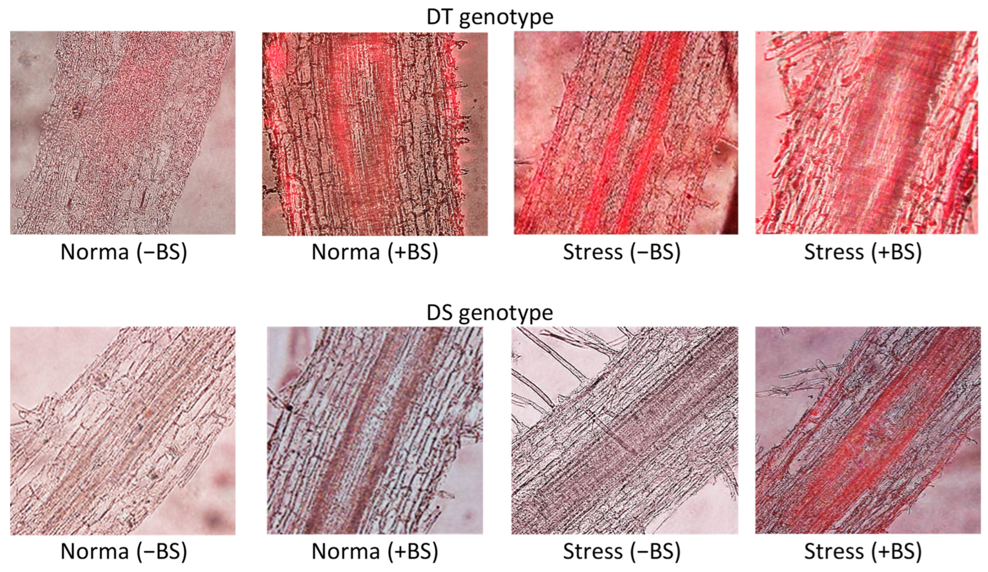 Microorganisms 11 02955 g003 Microorganisms 11 02955 g003