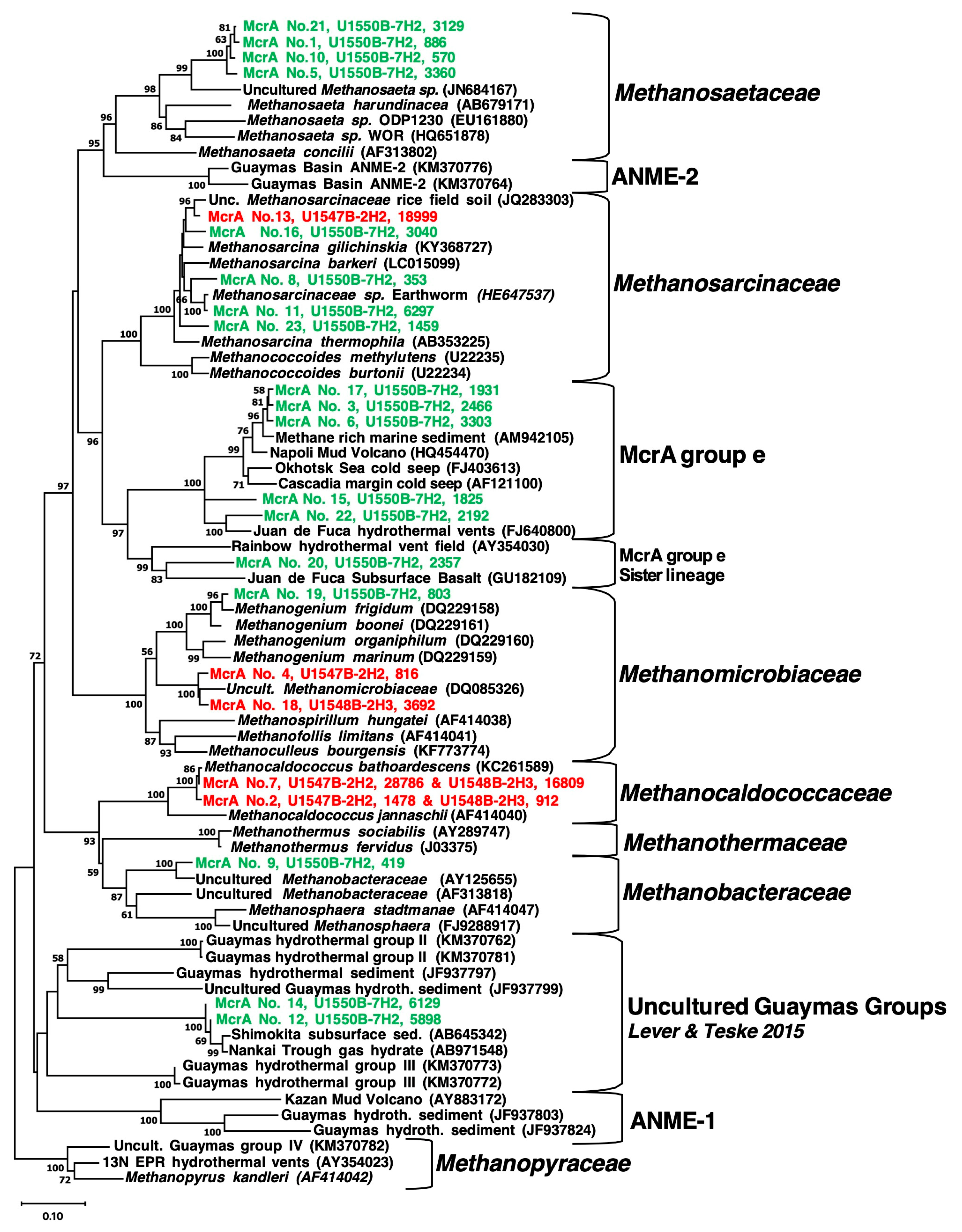 Microorganisms 11 02956 g004