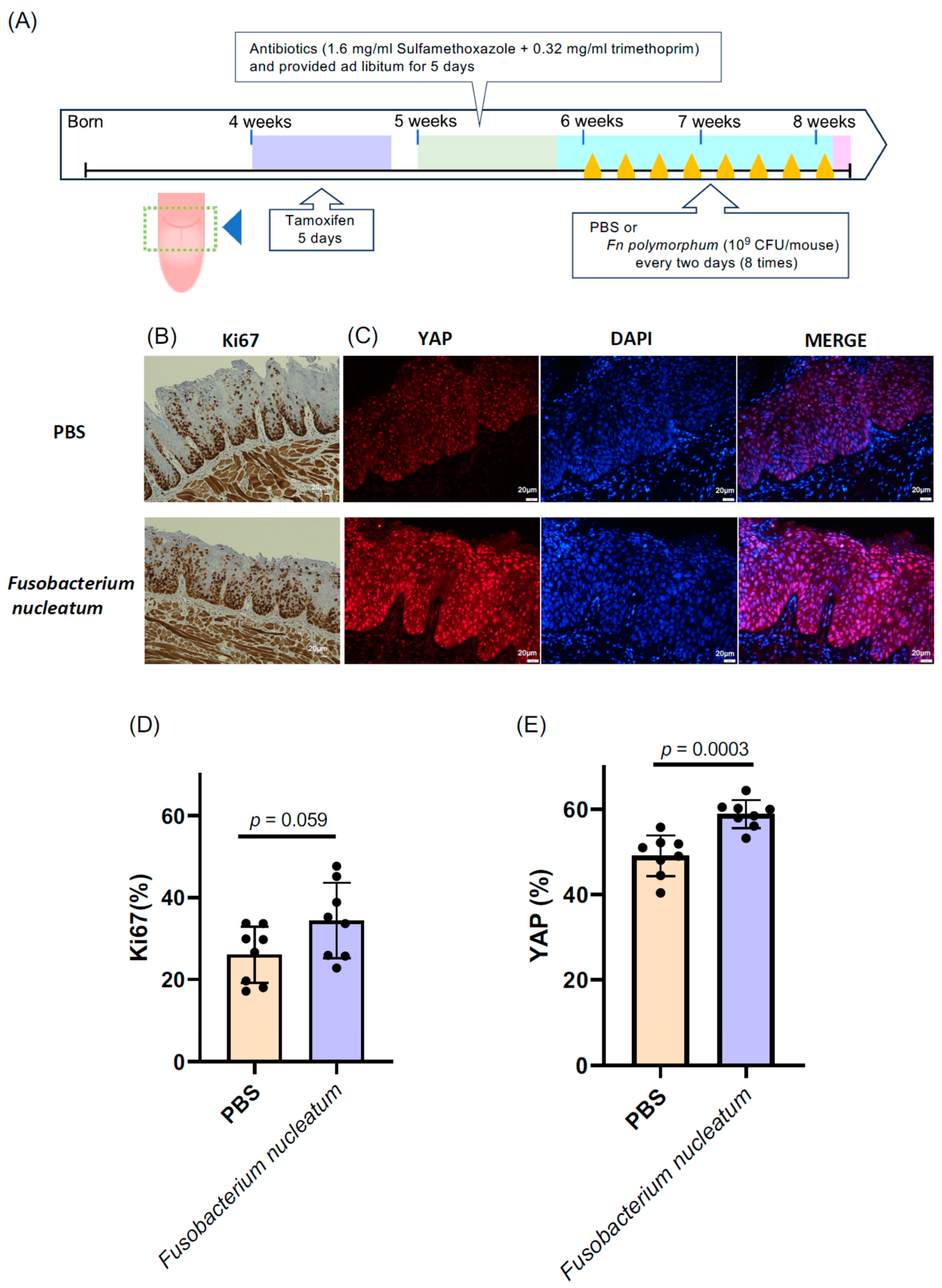 Microorganisms 11 02957 g004