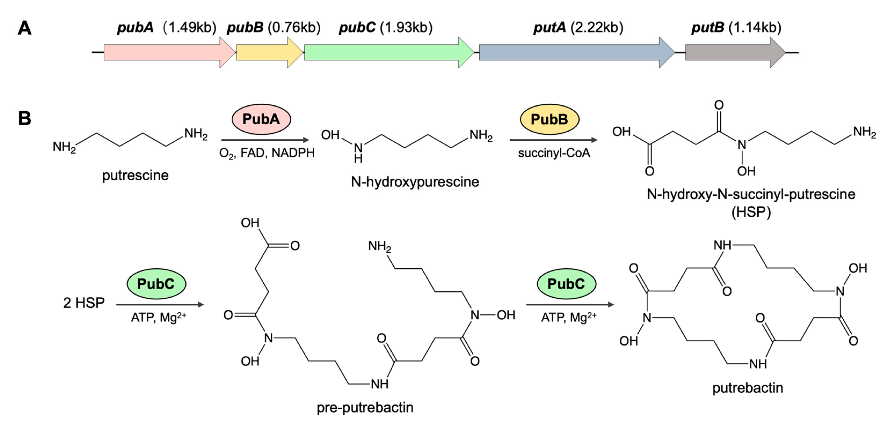 Microorganisms 11 02961 g008