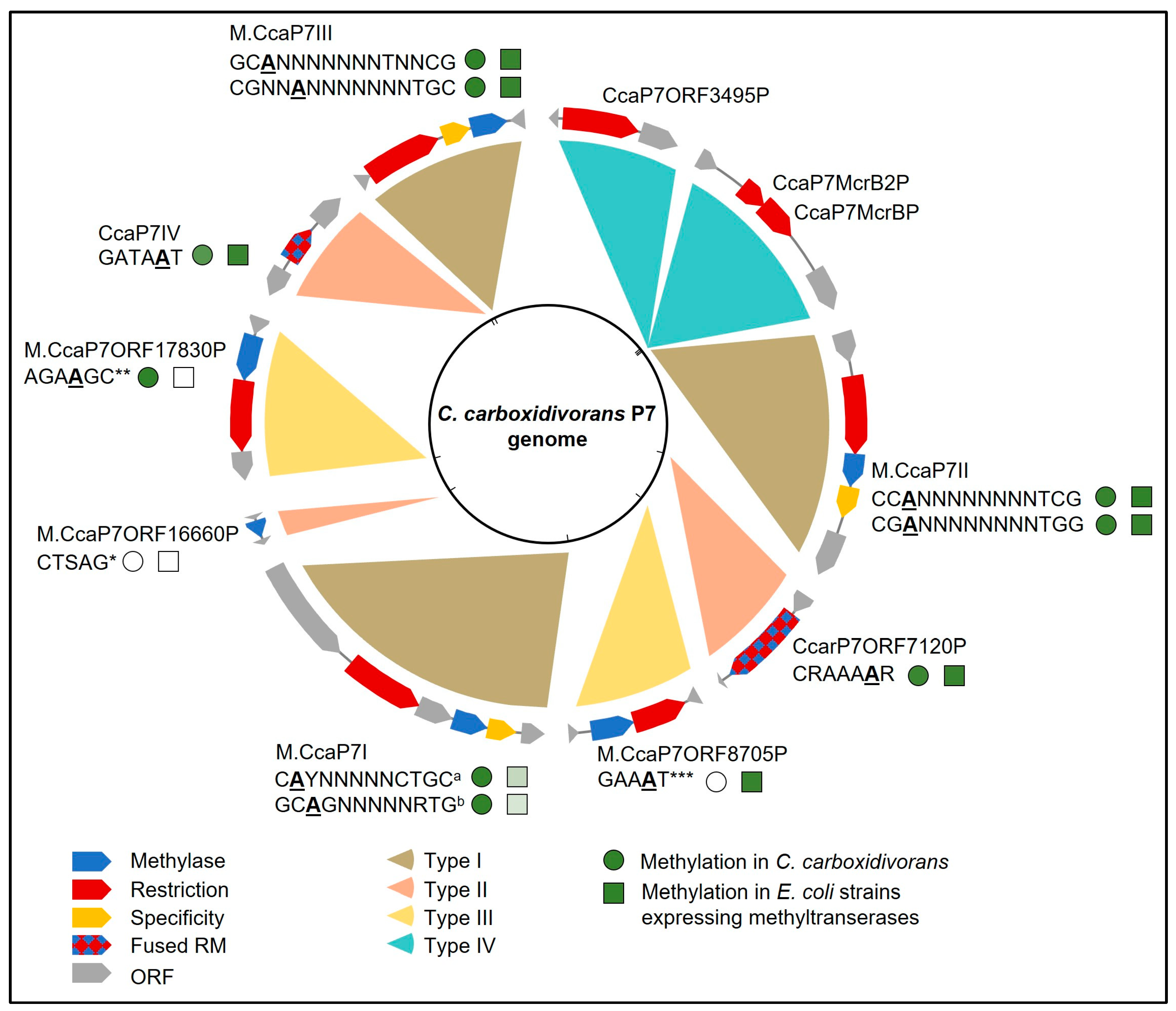 Microorganisms 11 02962 g001