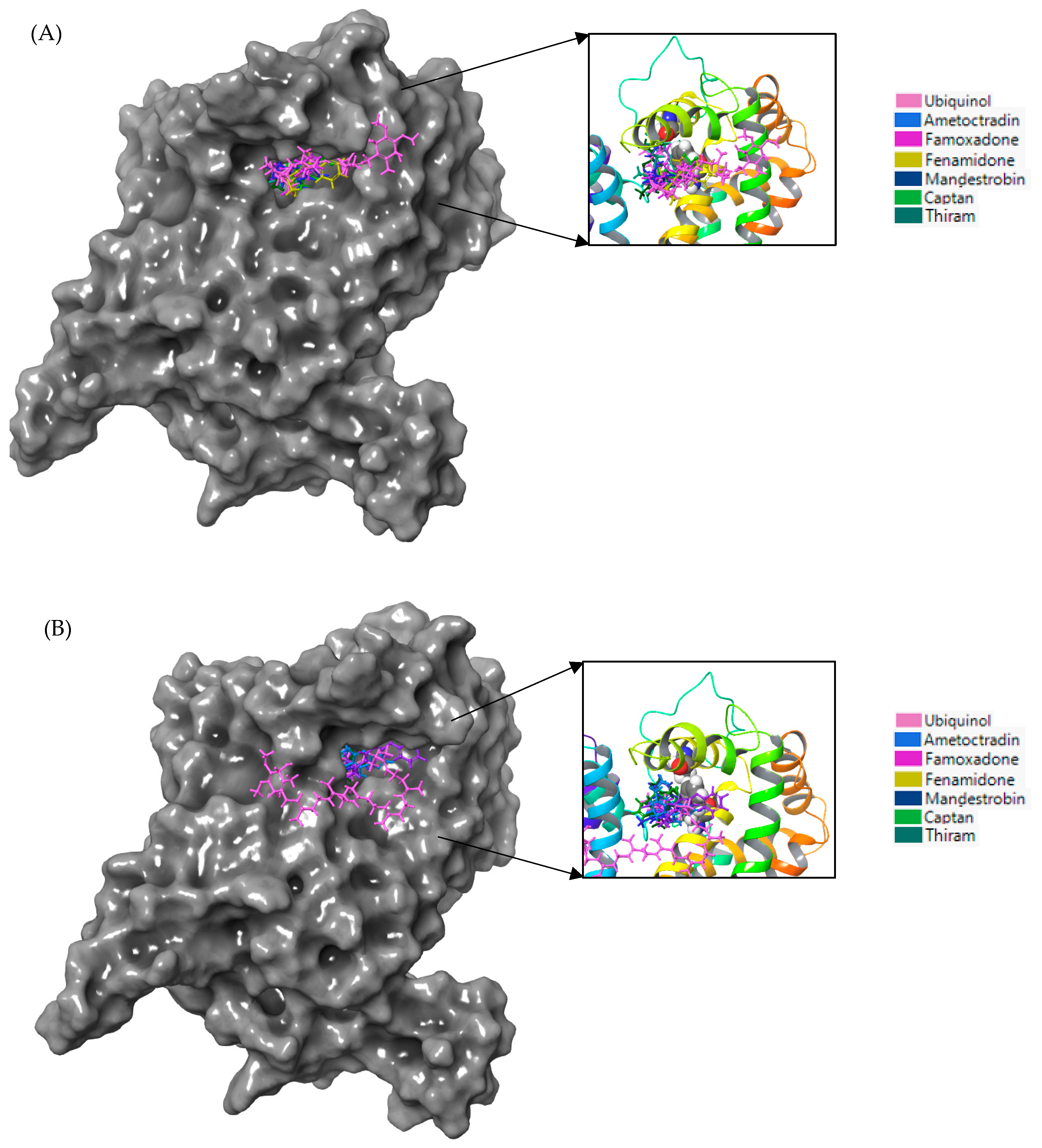 Microorganisms 11 02966 g003