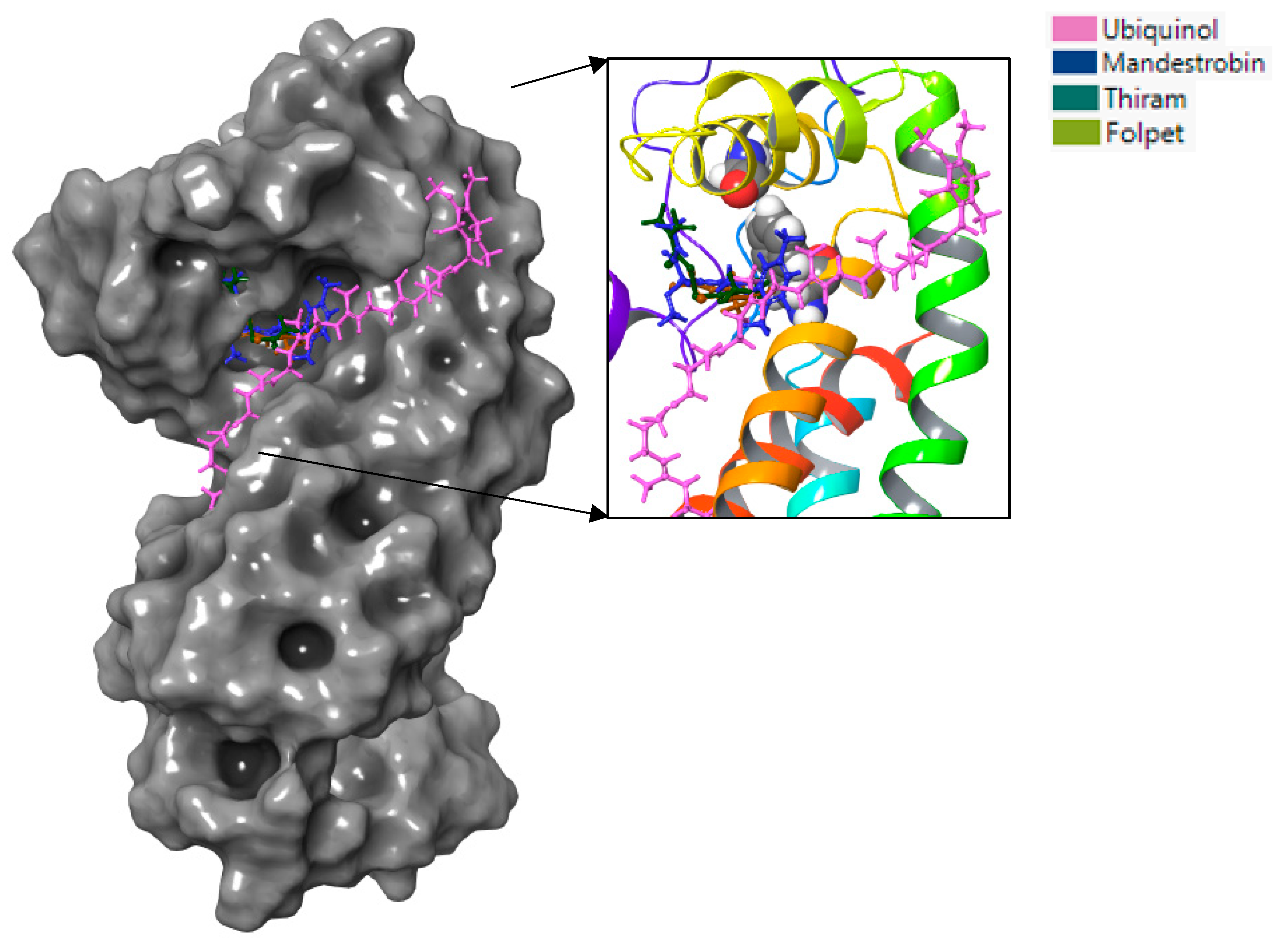 Microorganisms 11 02966 g008