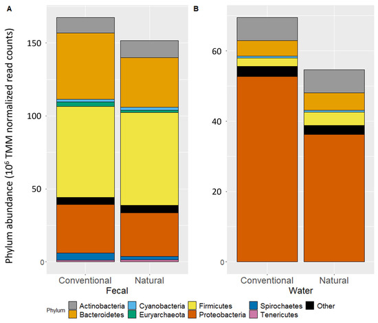 Effect of Antimicrobial Use in Conventional Versus Natural Cattle 