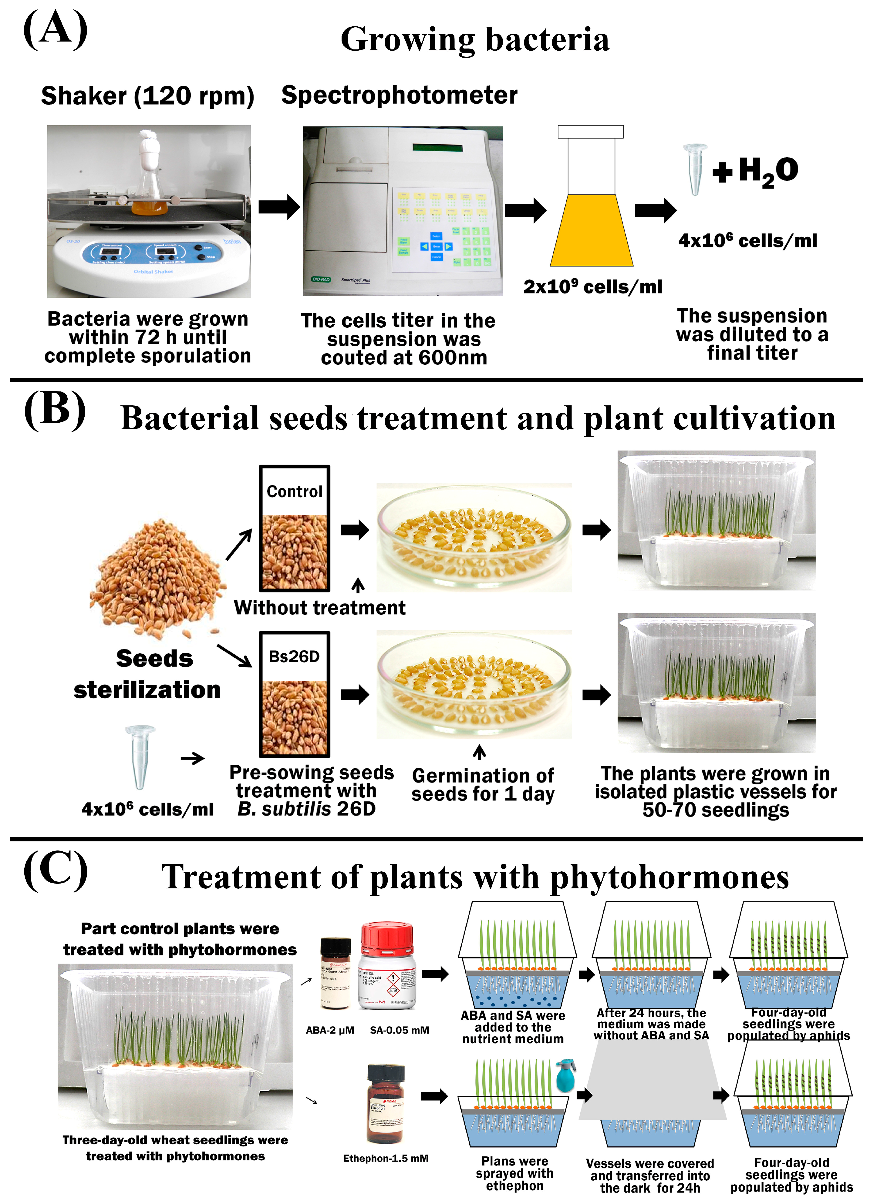 Microorganisms 11 02983 g001