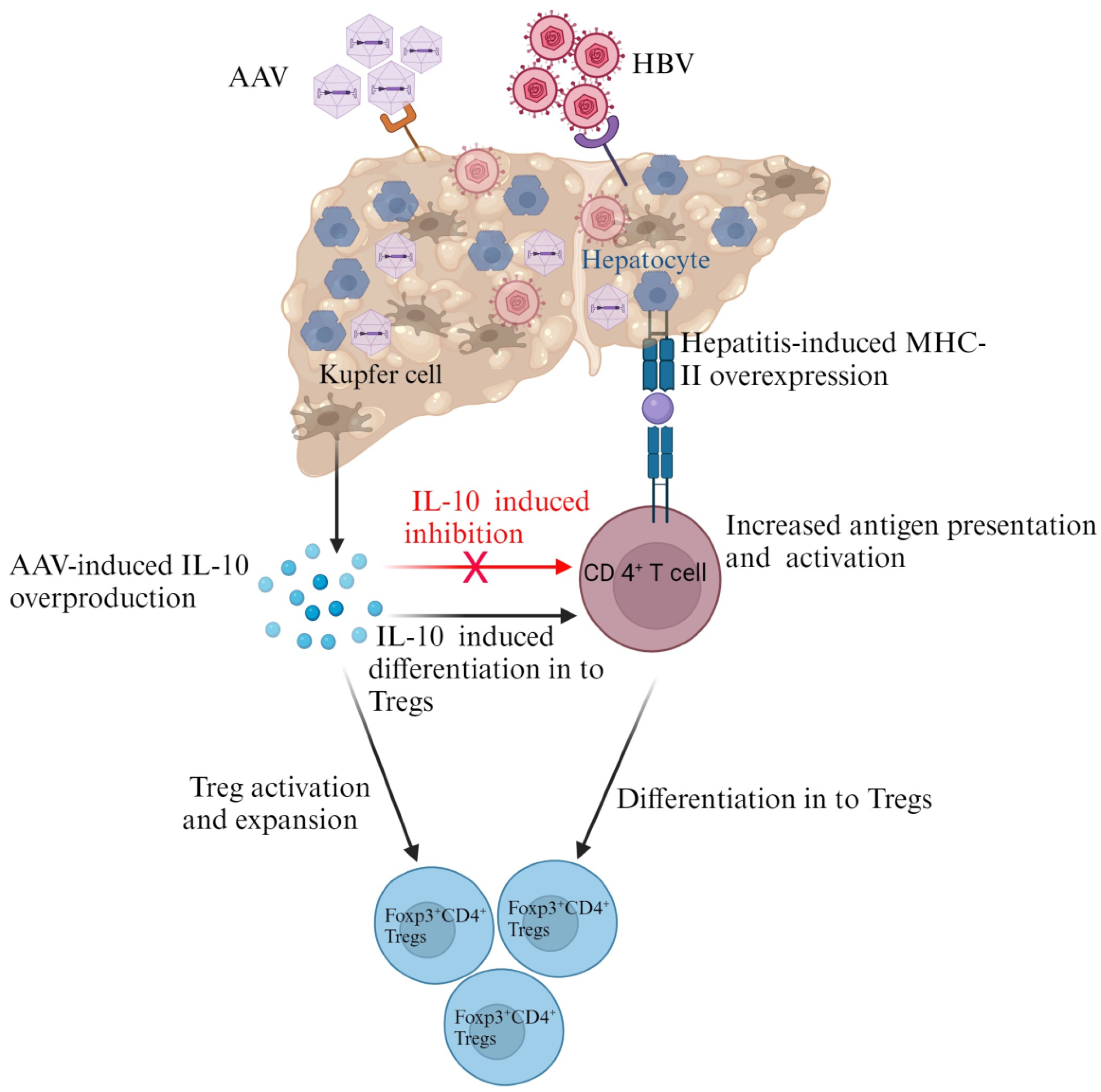Microorganisms 11 02985 g003