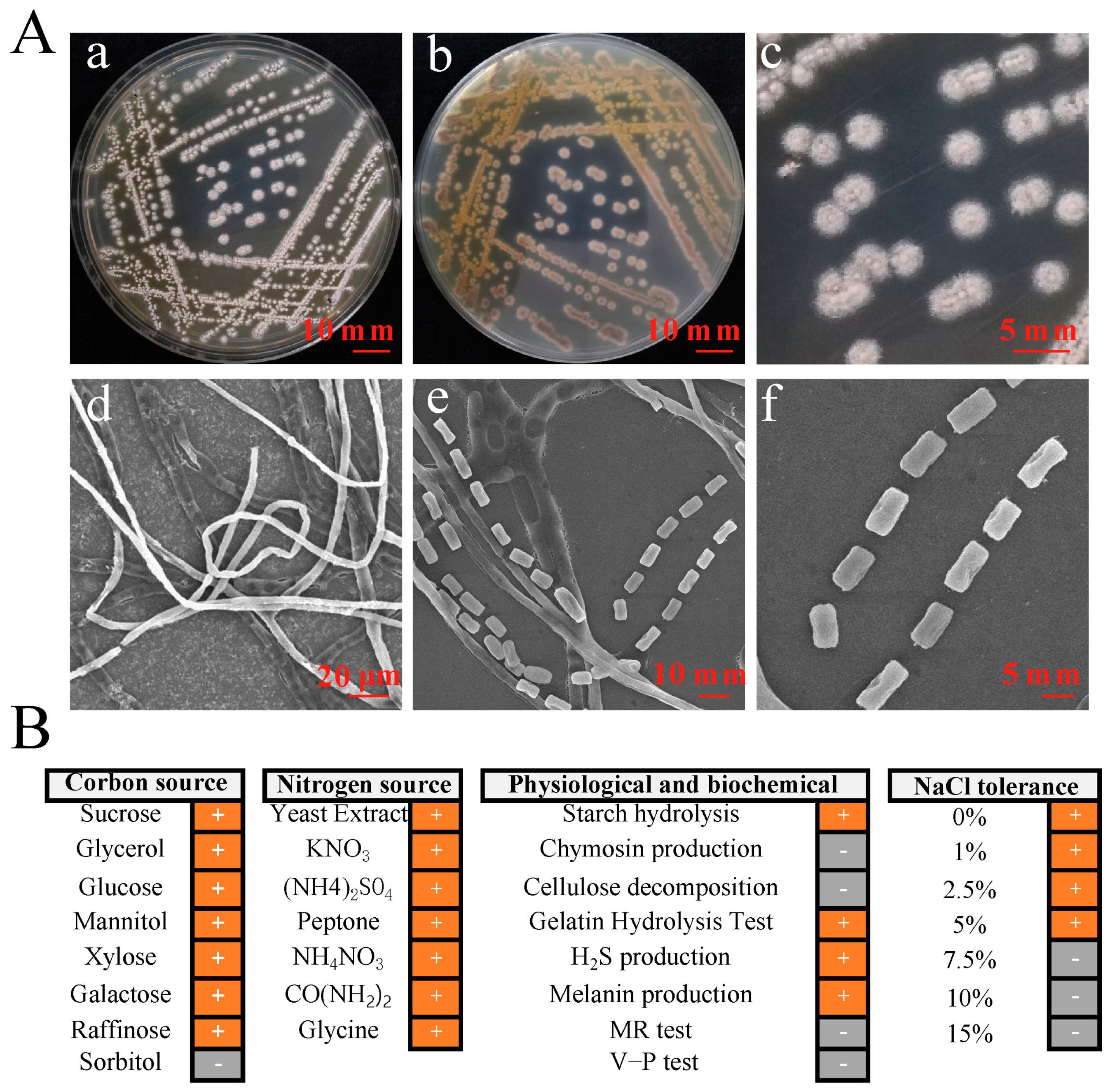 Microorganisms 11 02988 g001