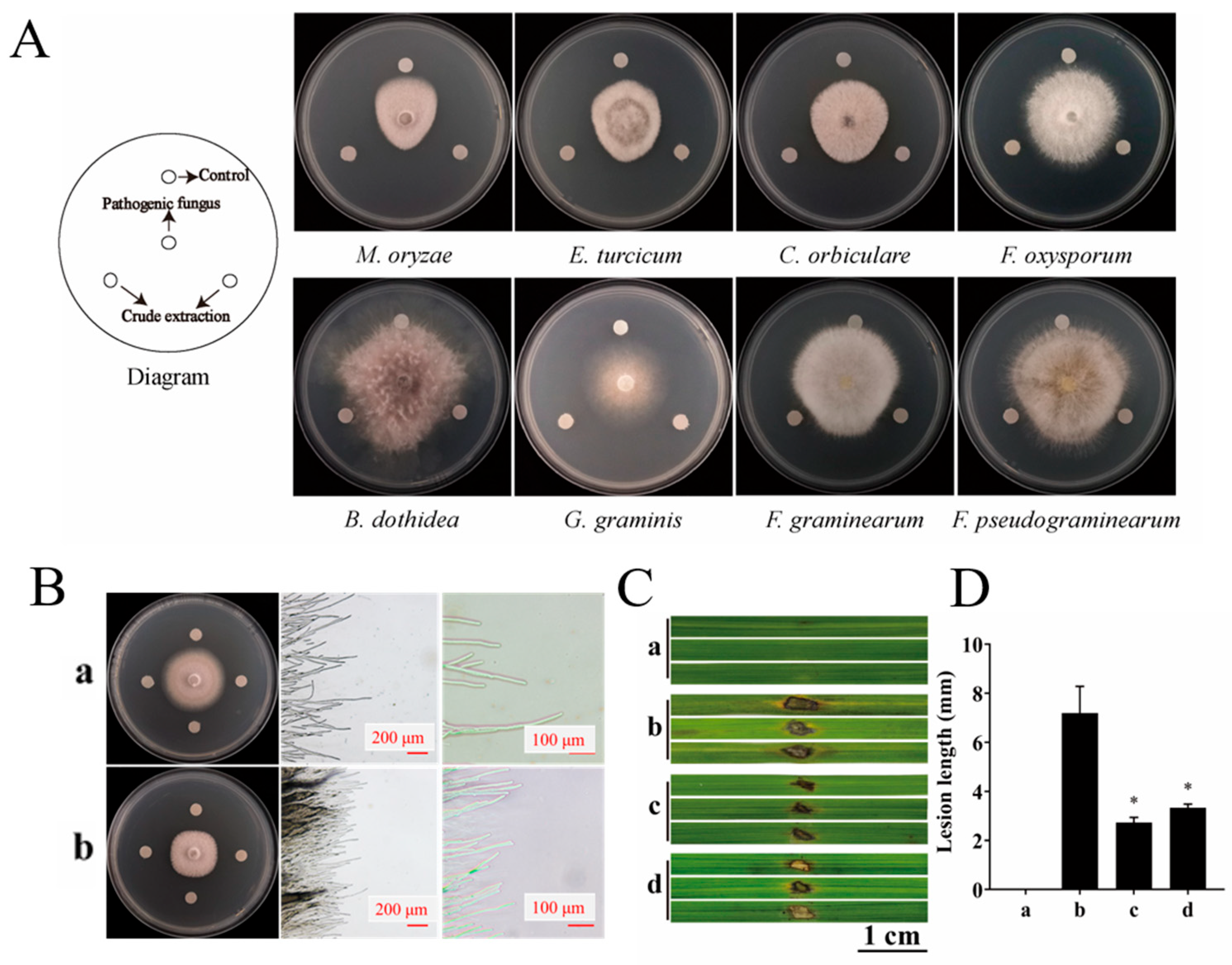 Microorganisms 11 02988 g005
